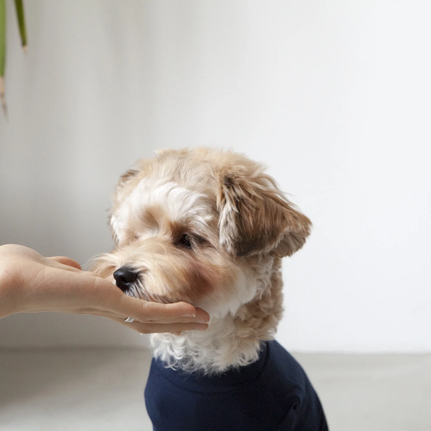DENTISTS APPOINTMENT | Body Warm All-in-One in Navy - Image 8