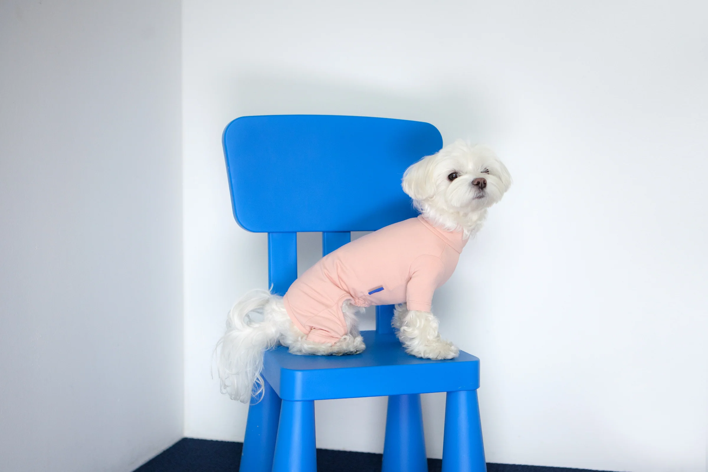 Body Warm All-in-One in Pink (FINAL SALE) - Image 4
