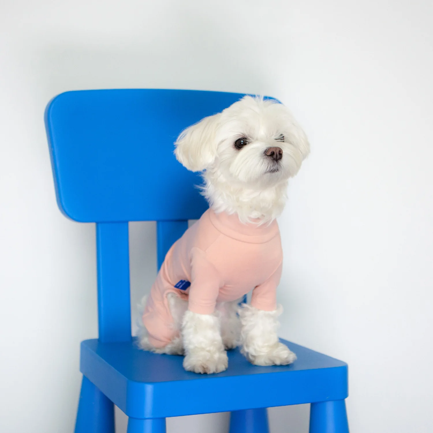 Body Warm All-in-One in Pink (FINAL SALE) - Image 7