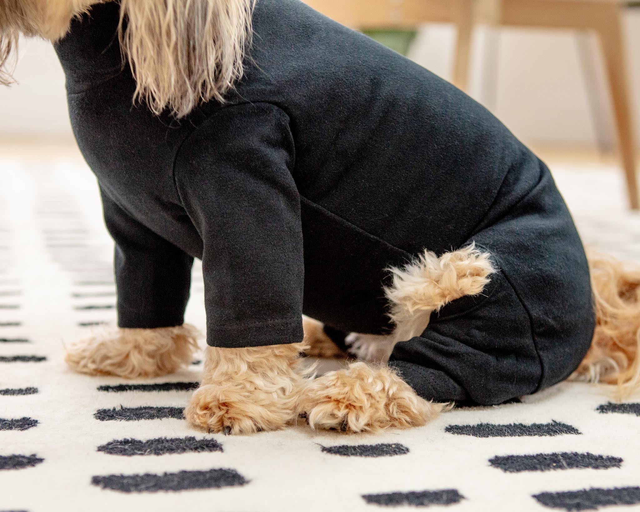 Body Warm Onesie in Black (Dog & Co. Exclusive) - Image 4