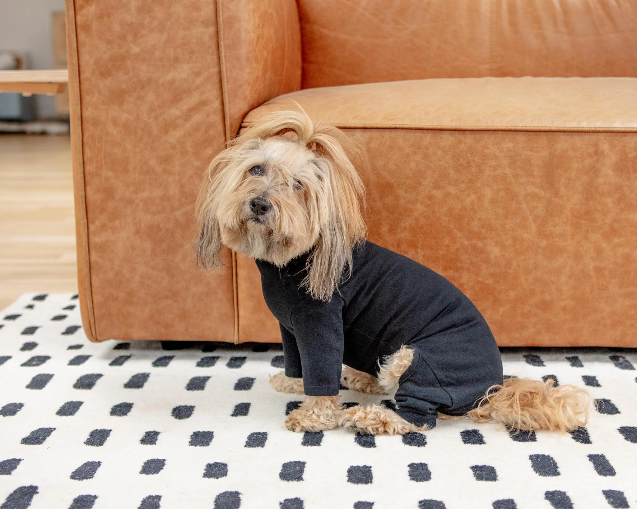 Body Warm Onesie in Black (Dog & Co. Exclusive) - Image 5