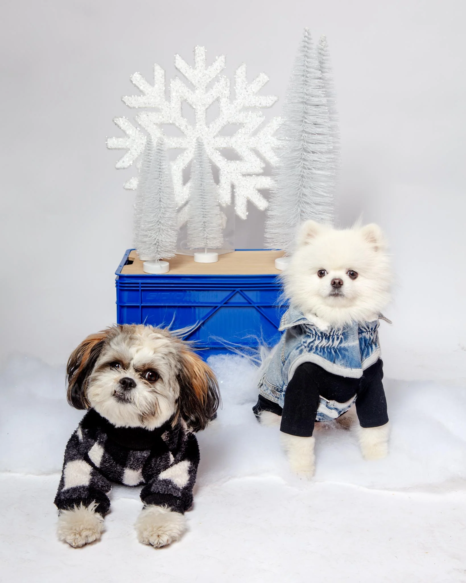 Body Warm Onesie in Black (Dog & Co. Exclusive) - Image 6