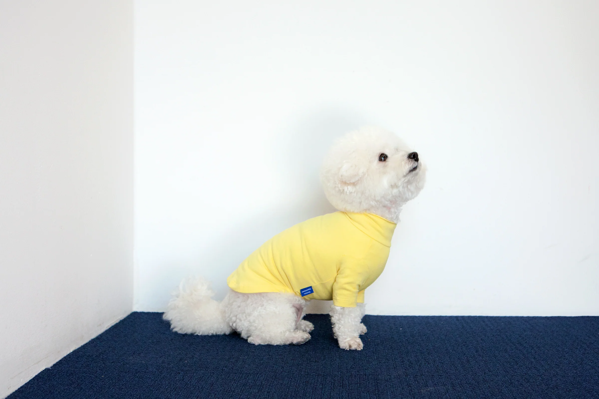 Body Warm Turtleneck in Lemon Yellow (FINAL SALE) - Image 2
