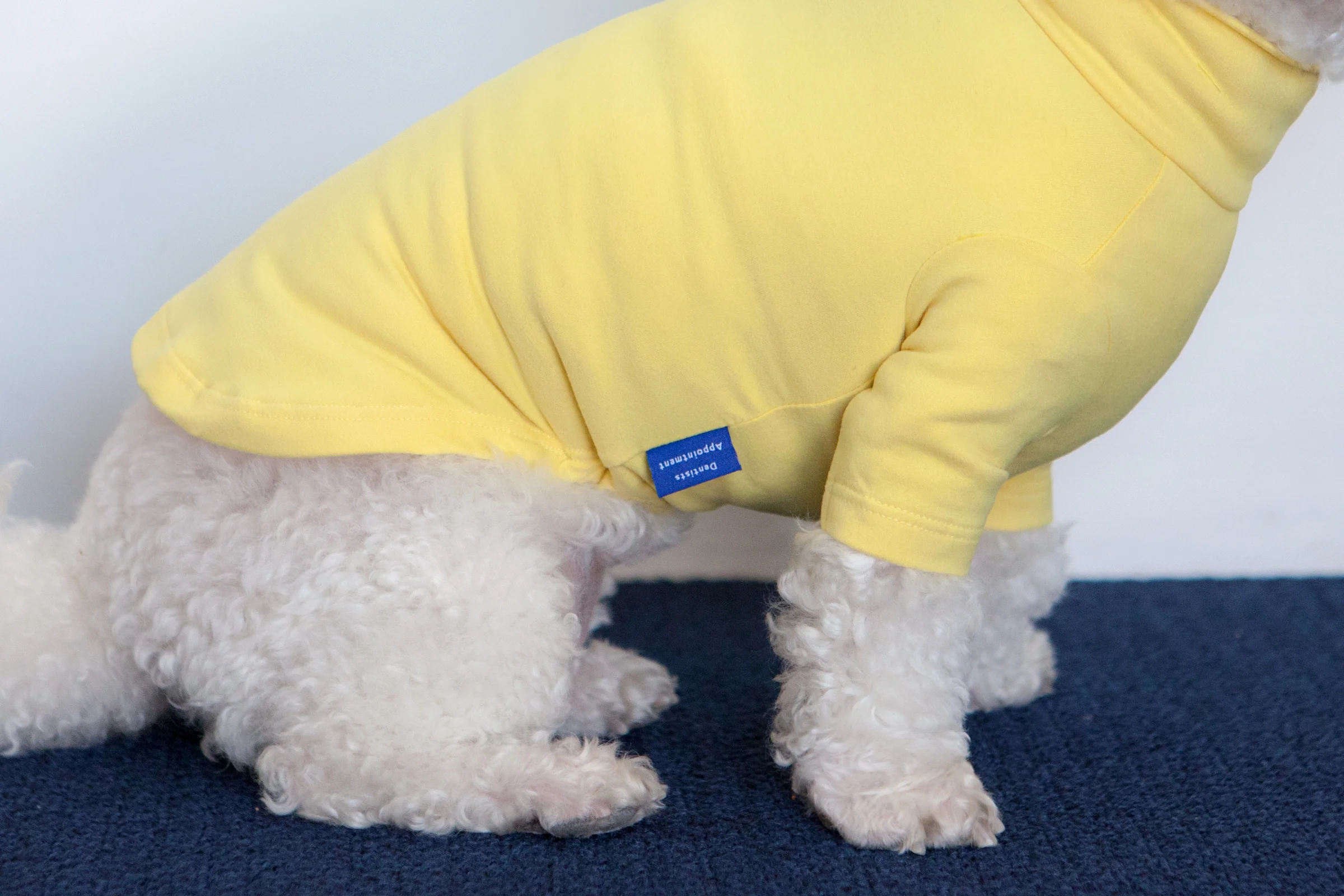 Body Warm Turtleneck in Lemon Yellow (FINAL SALE) - Image 3