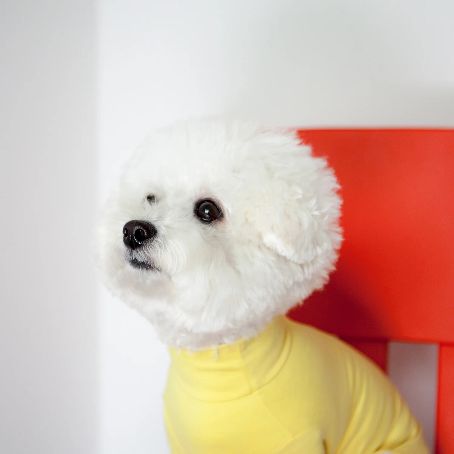 Body Warm Turtleneck in Lemon Yellow (FINAL SALE) - Image 4