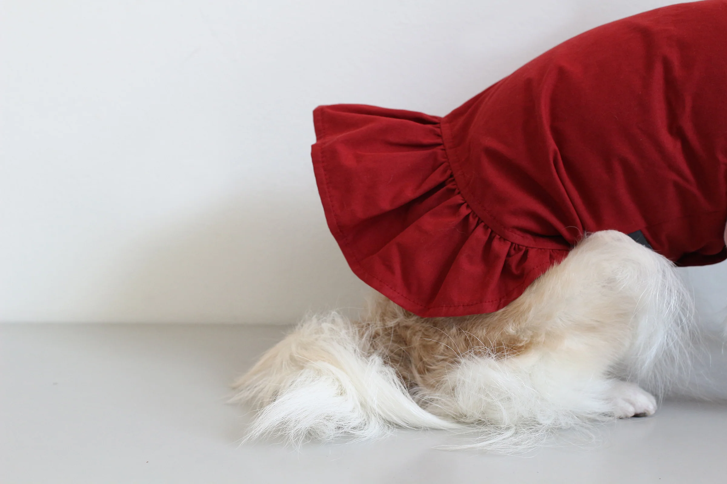 DENTISTS APPOINTMENT | Camisole Dress in Red - Image 2