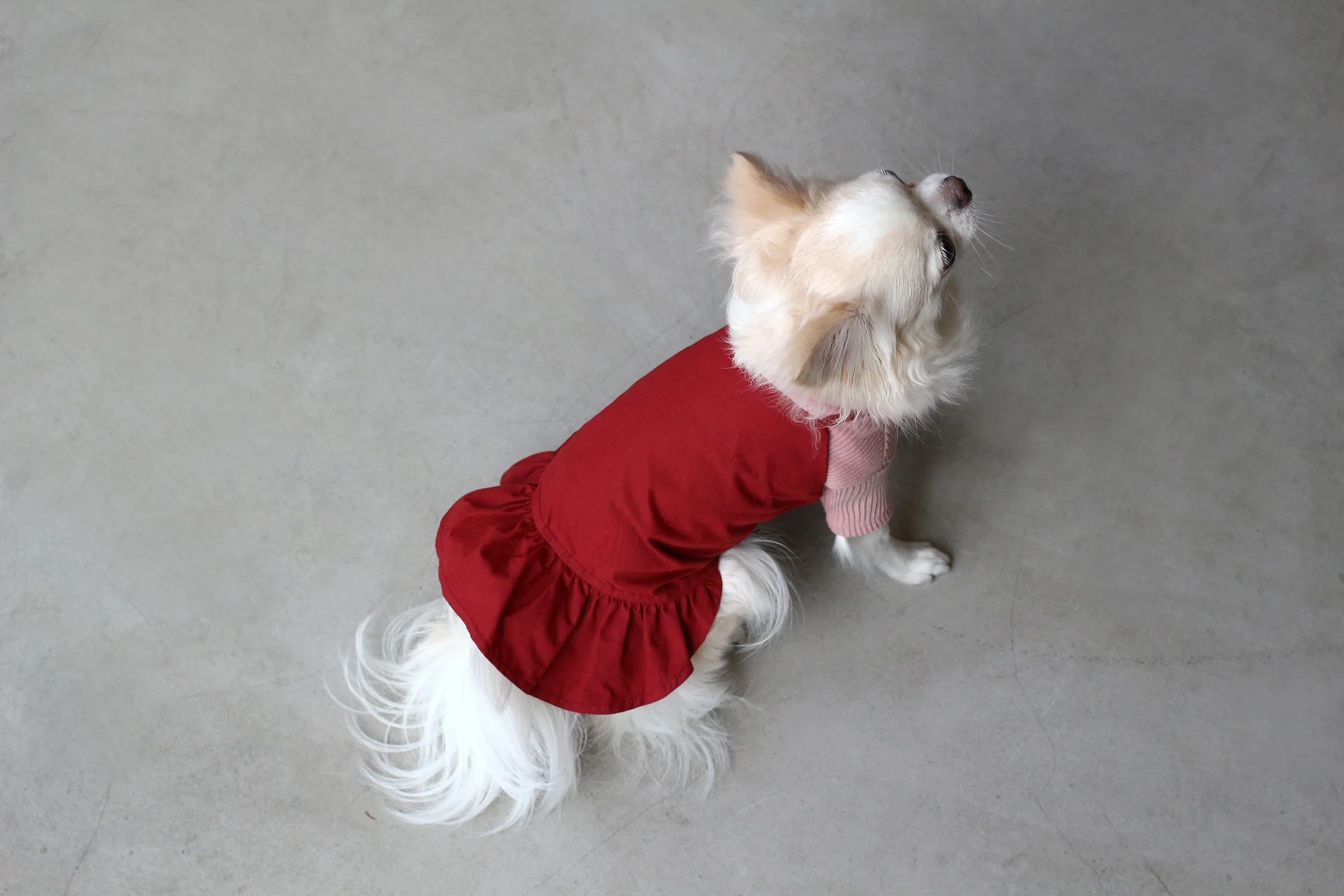 DENTISTS APPOINTMENT | Camisole Dress in Red - Image 6