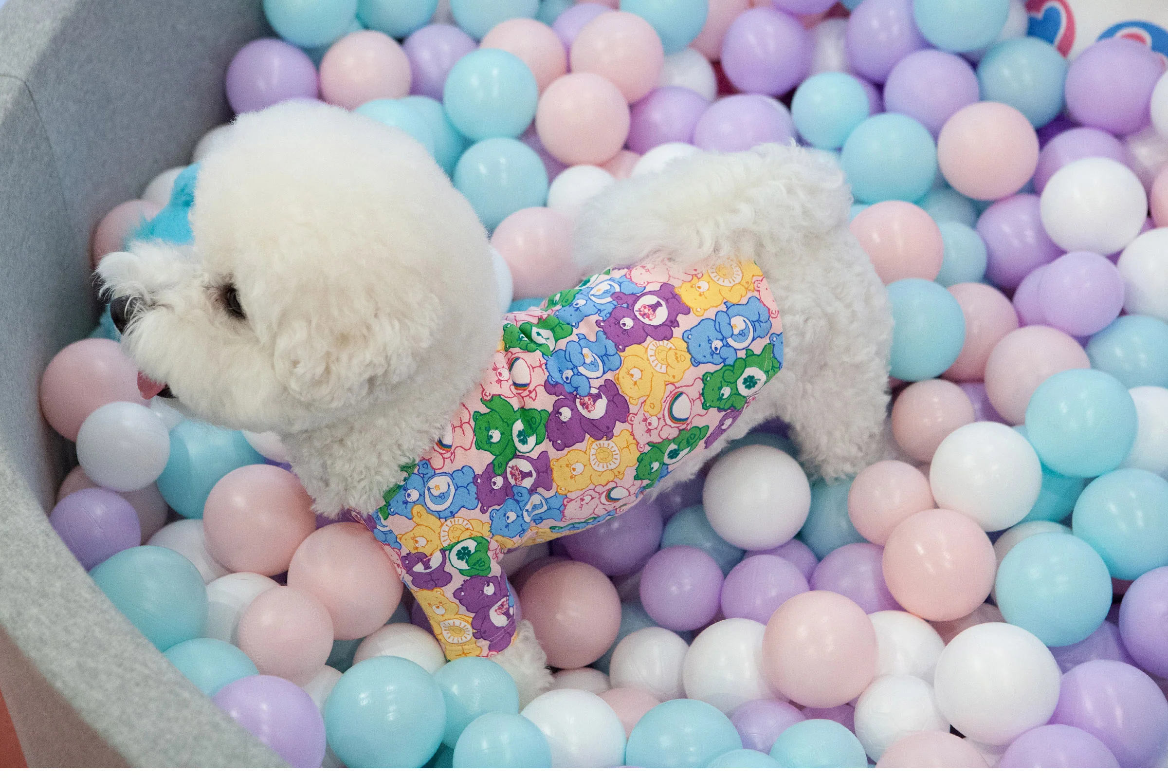 Care Bear All-Over T-Shirt (FINAL SALE) - Image 6