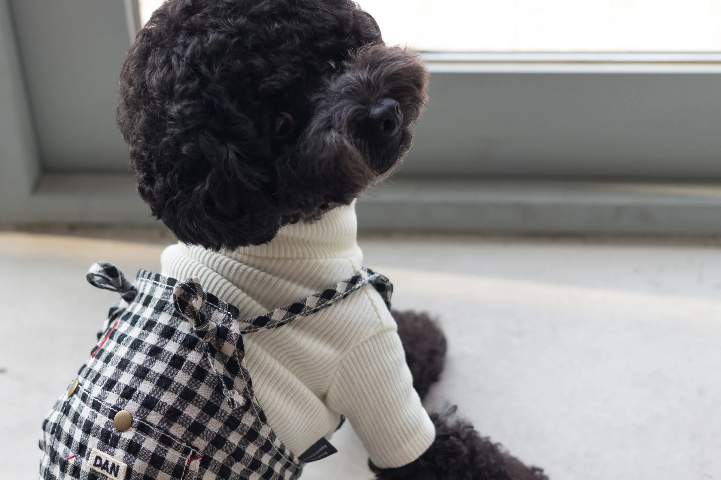 DENTISTS APPOINTMENT | Gingham Check Overall in Black & White - Image 4