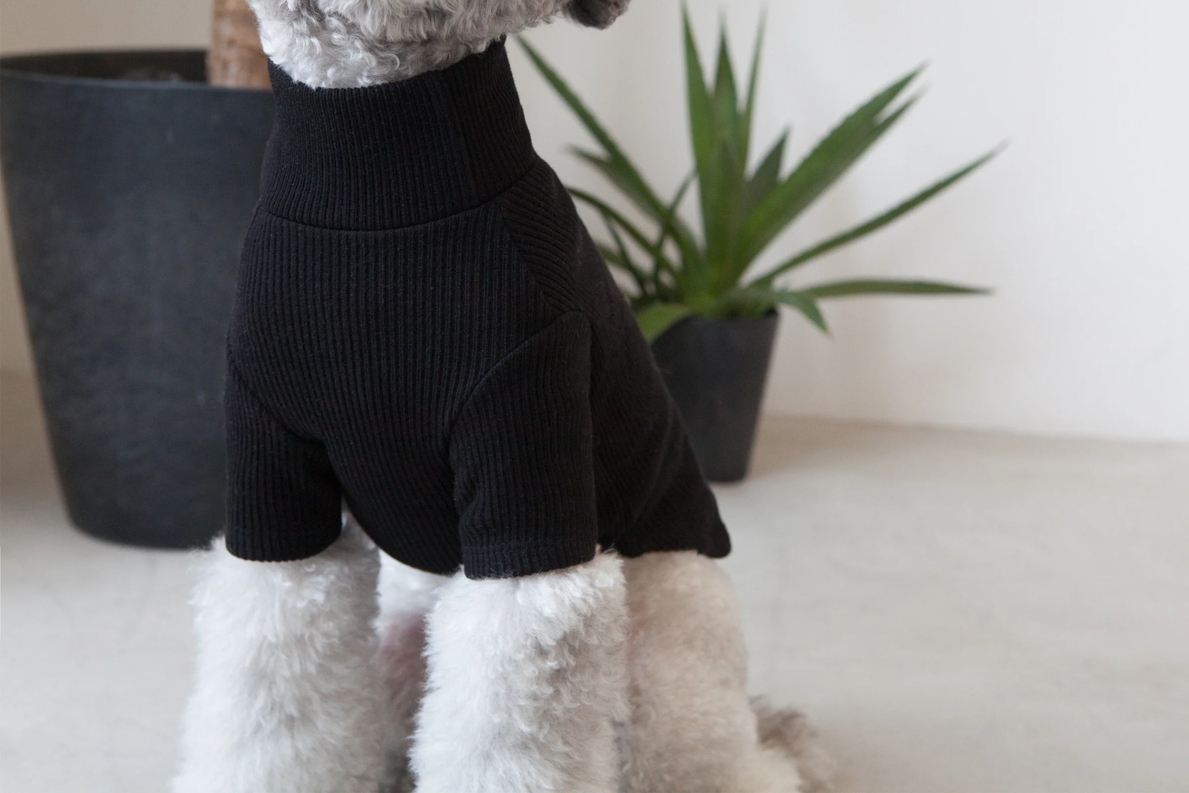 DENTISTS APPOINTMENT | Skinny Rib Rollneck in Black - Image 2