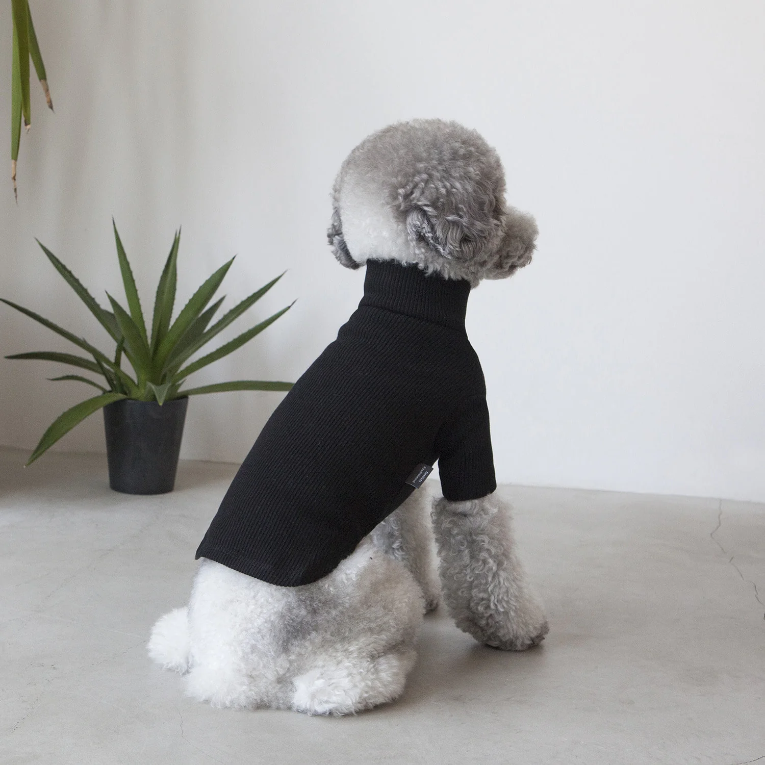 DENTISTS APPOINTMENT | Skinny Rib Rollneck in Black - Image 3