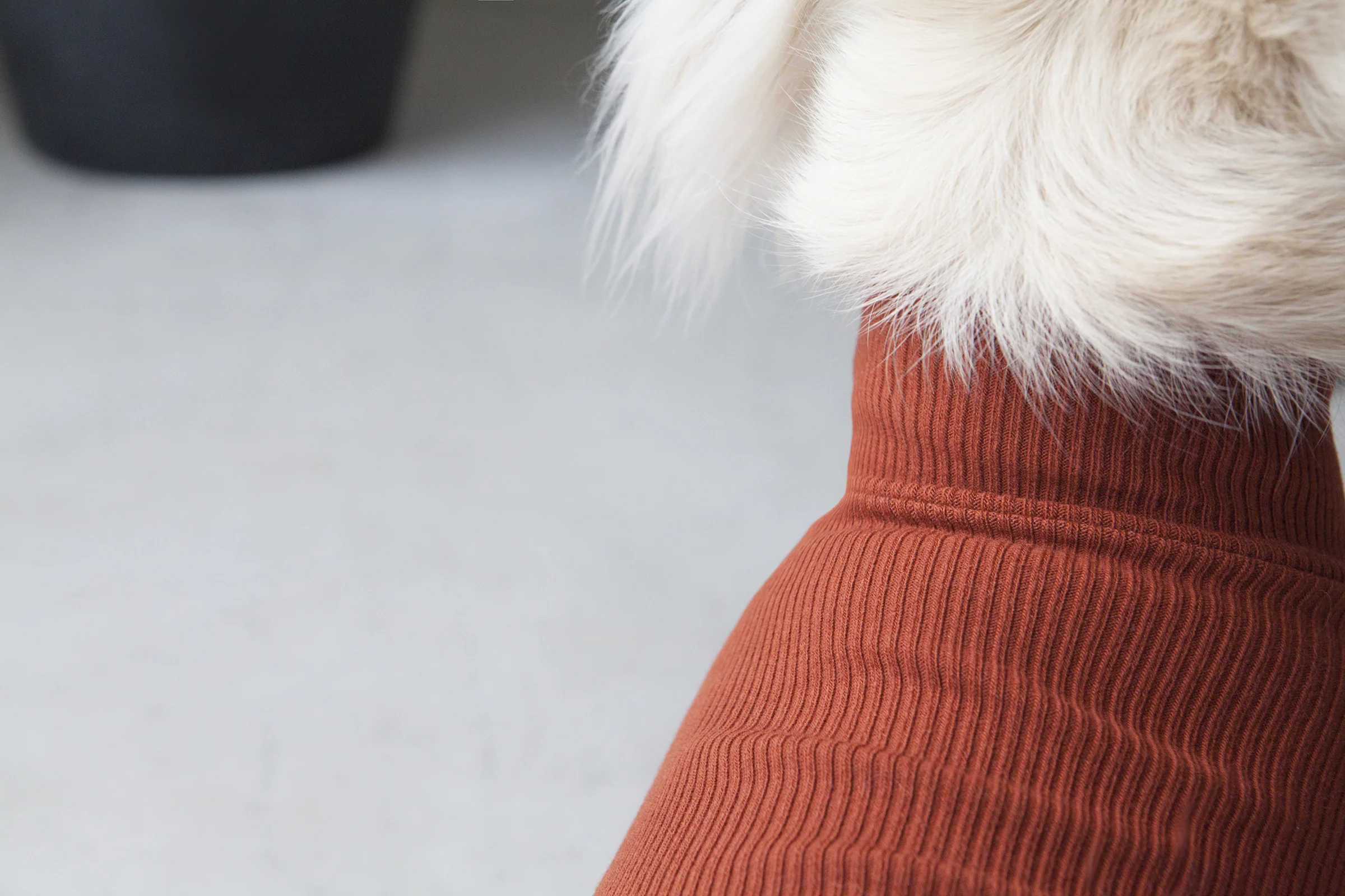 DENTISTS APPOINTMENT | Skinny Rib Rollneck in Brick Brown - Image 3