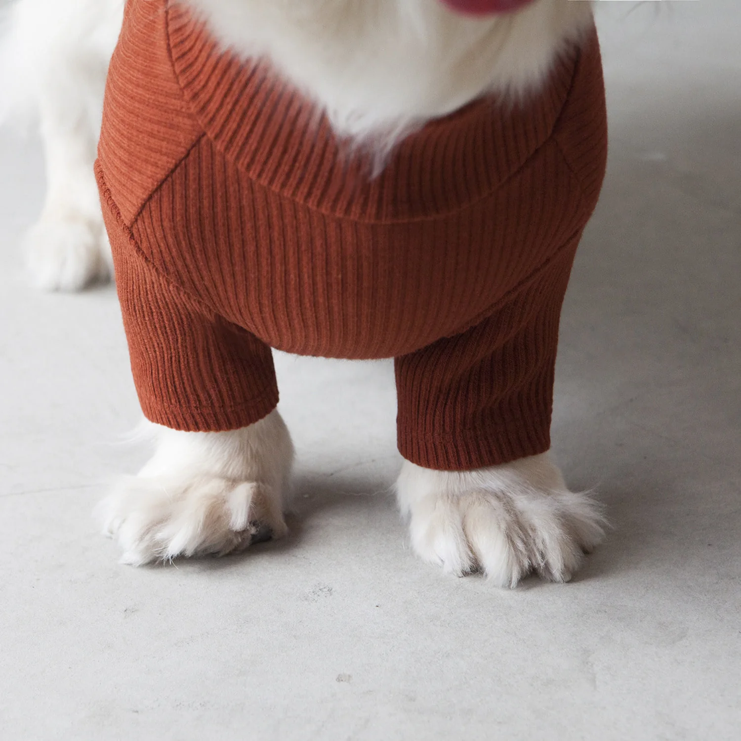 DENTISTS APPOINTMENT | Skinny Rib Rollneck in Brick Brown - Image 5