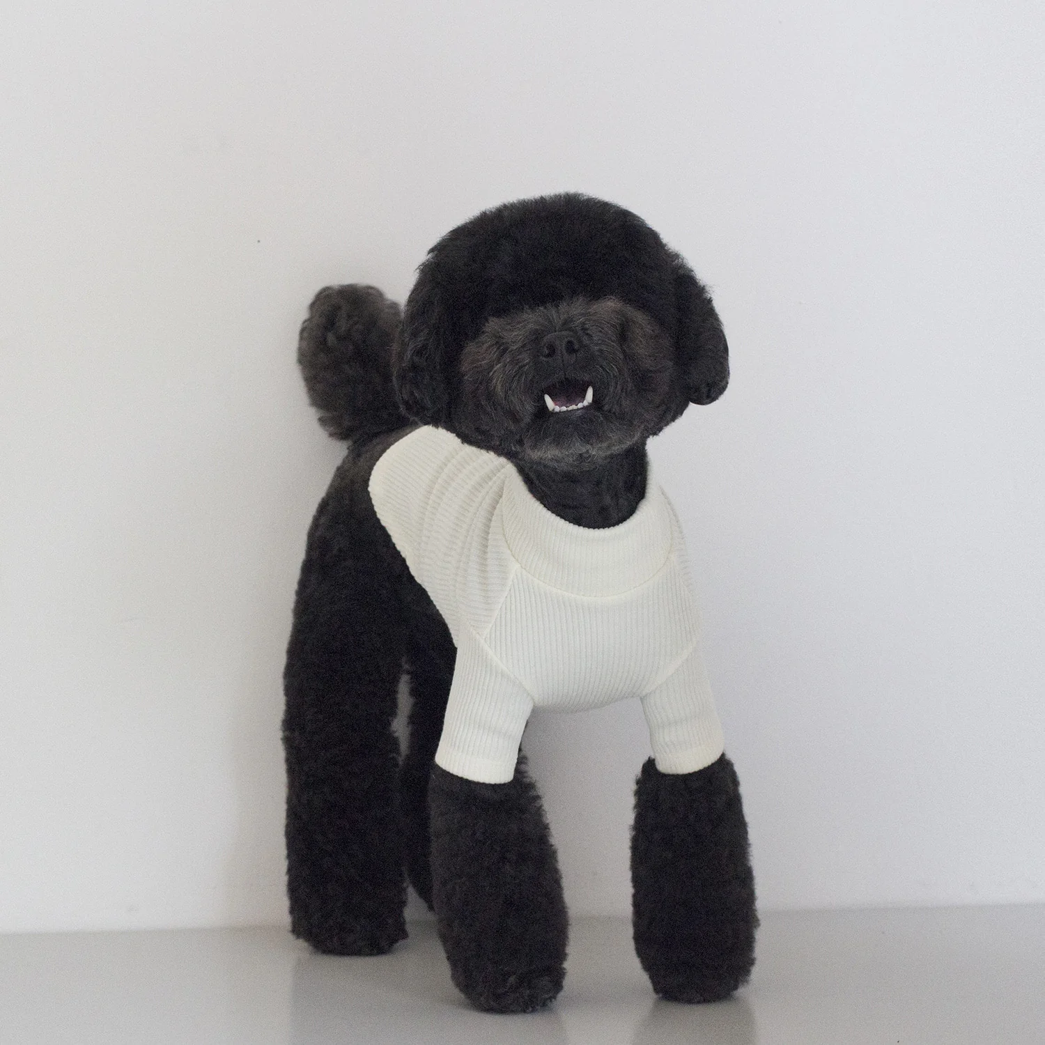DENTISTS APPOINTMENT | Skinny Rib Rollneck in Ivory - Image 2