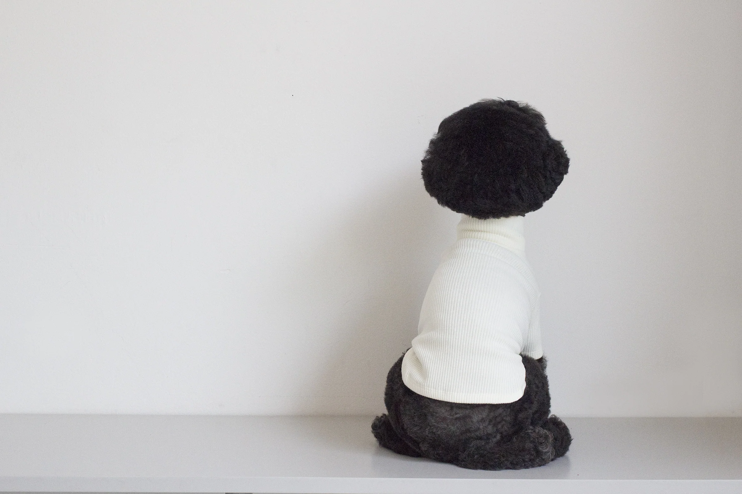 DENTISTS APPOINTMENT | Skinny Rib Rollneck in Ivory - Image 3