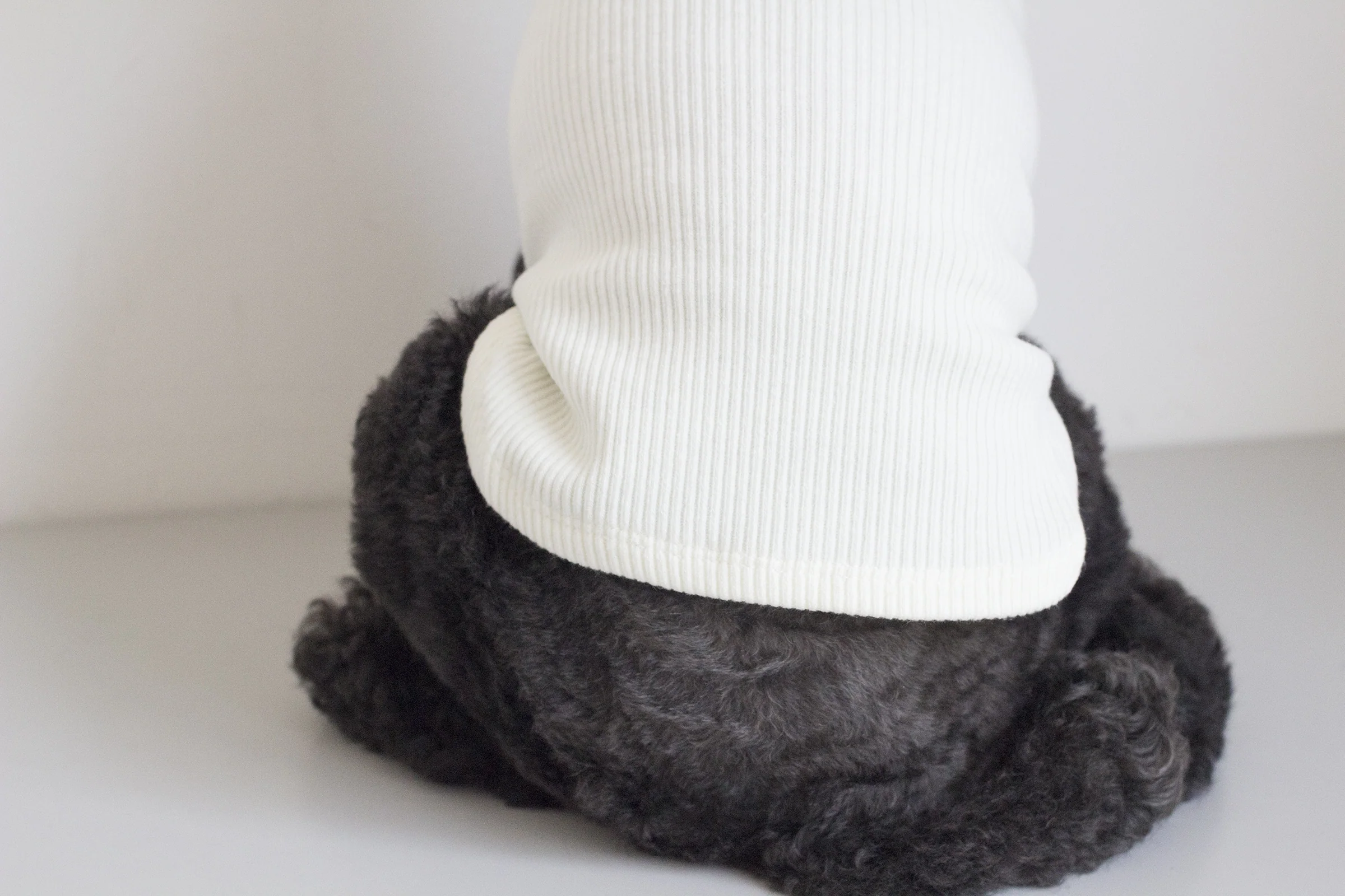 DENTISTS APPOINTMENT | Skinny Rib Rollneck in Ivory - Image 4