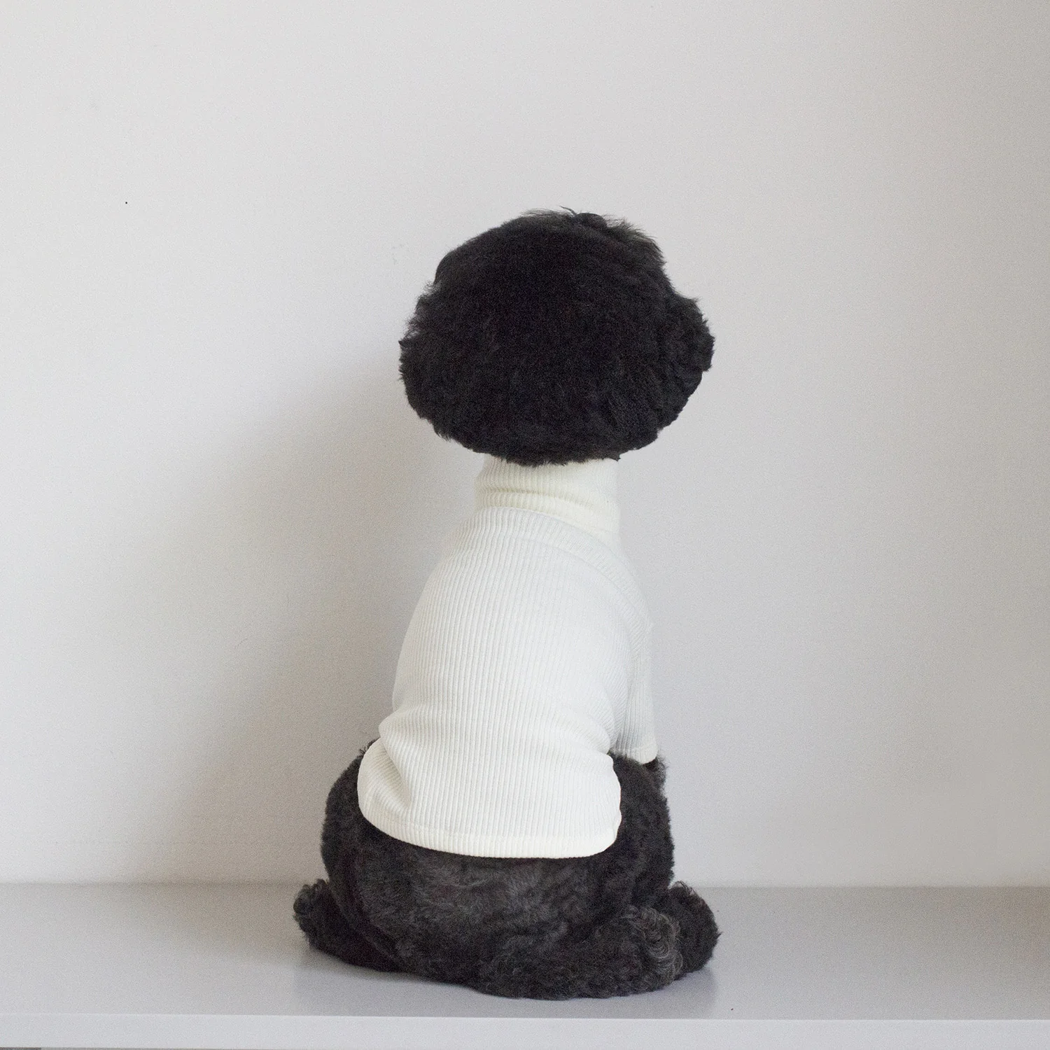 DENTISTS APPOINTMENT | Skinny Rib Rollneck in Ivory - Image 6