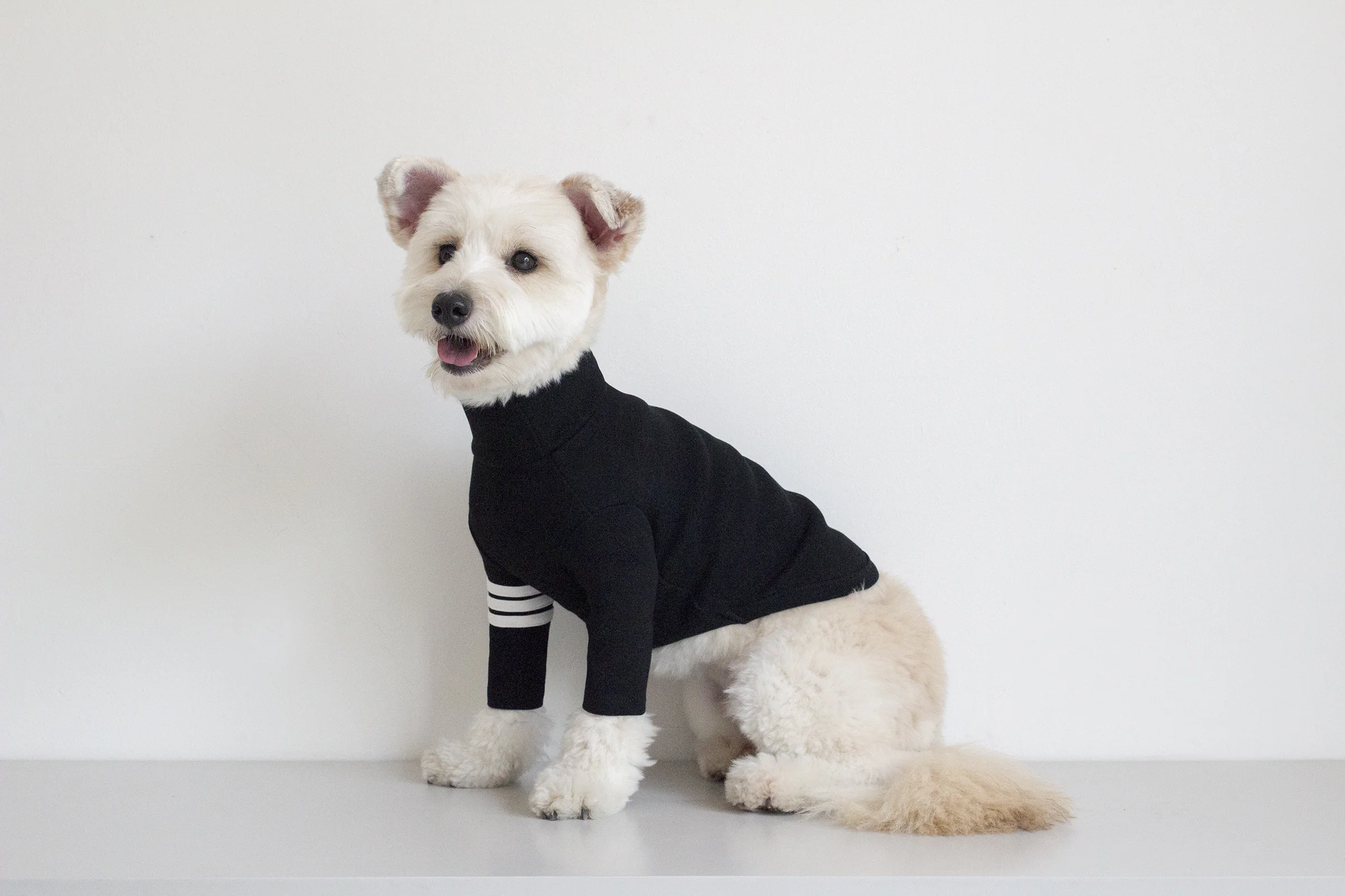 DENTISTS APPOINTMENT | Striped Point Turtleneck in Black - Image 3