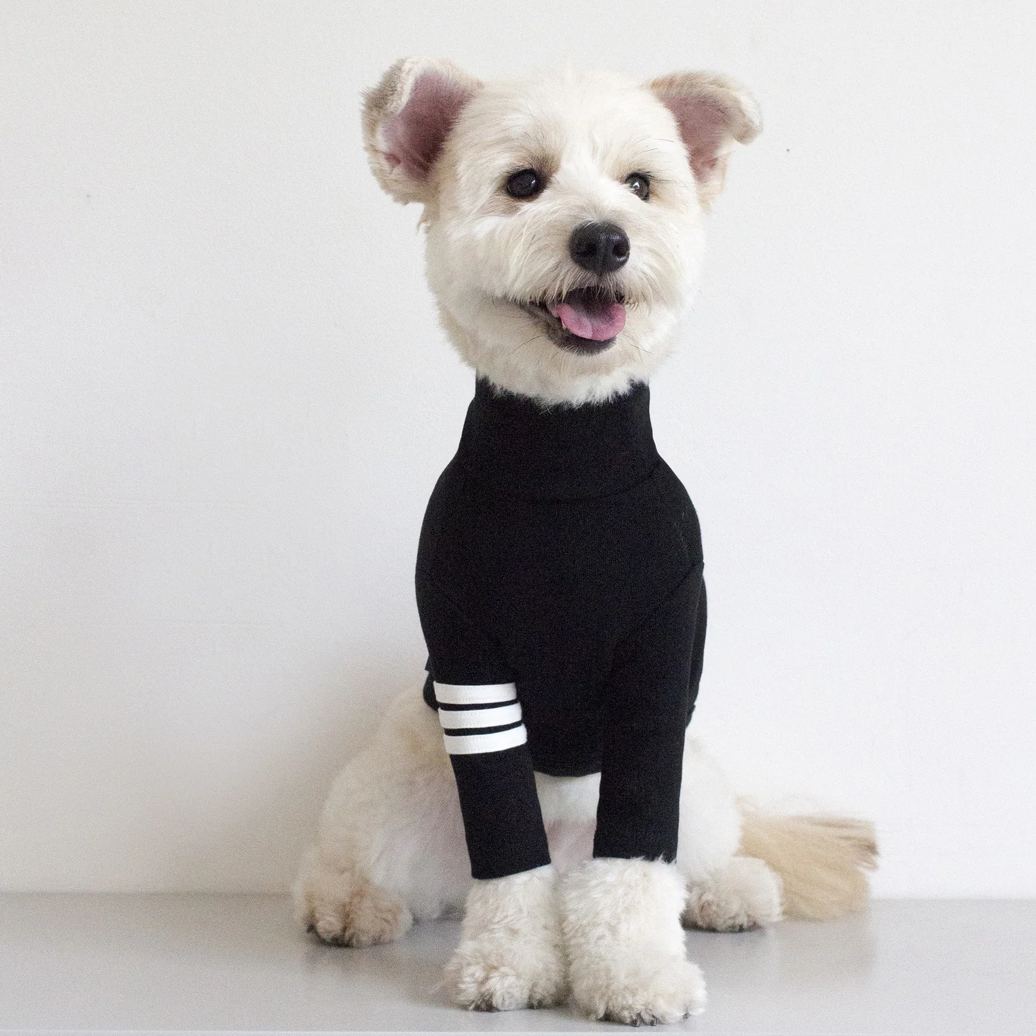DENTISTS APPOINTMENT | Striped Point Turtleneck in Black - Image 4