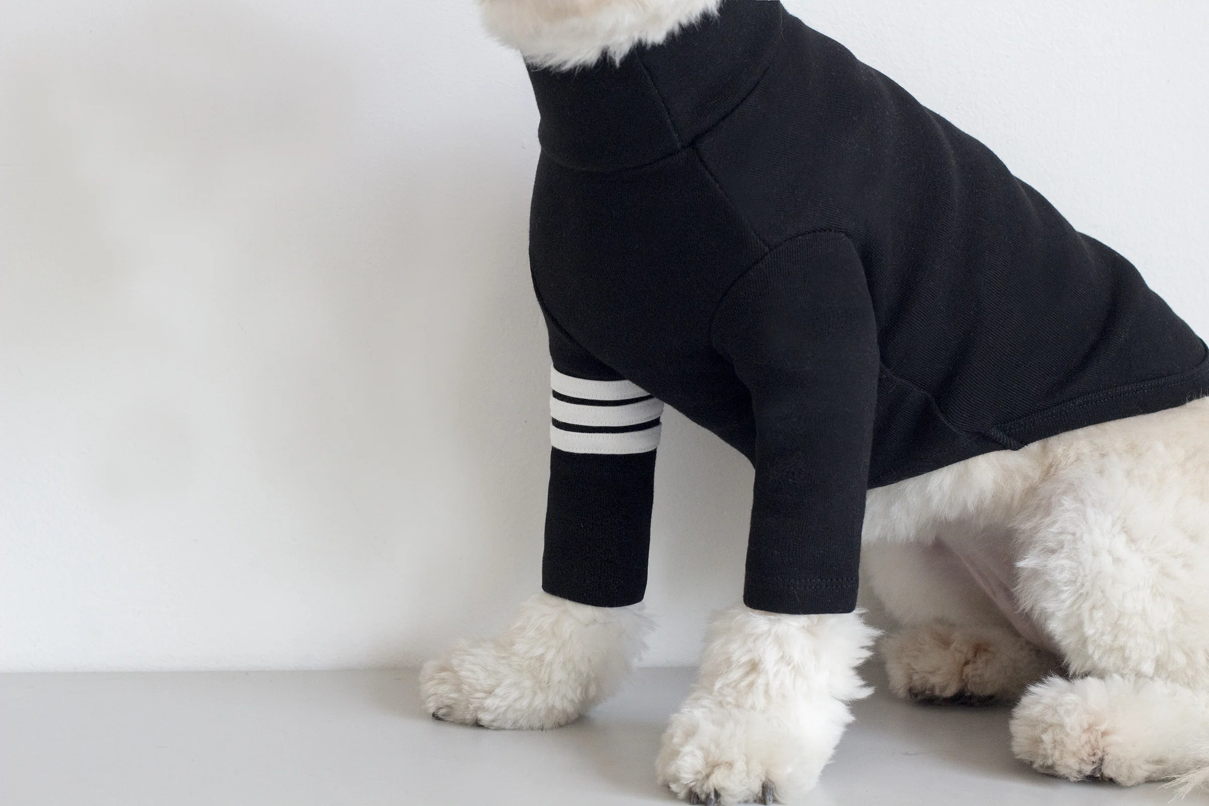 DENTISTS APPOINTMENT | Striped Point Turtleneck in Black - Image 7