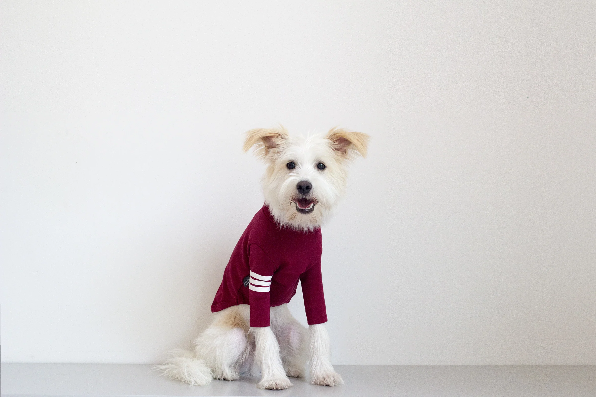 DENTISTS APPOINTMENT | Striped Point Turtleneck in Burgundy - Image 3