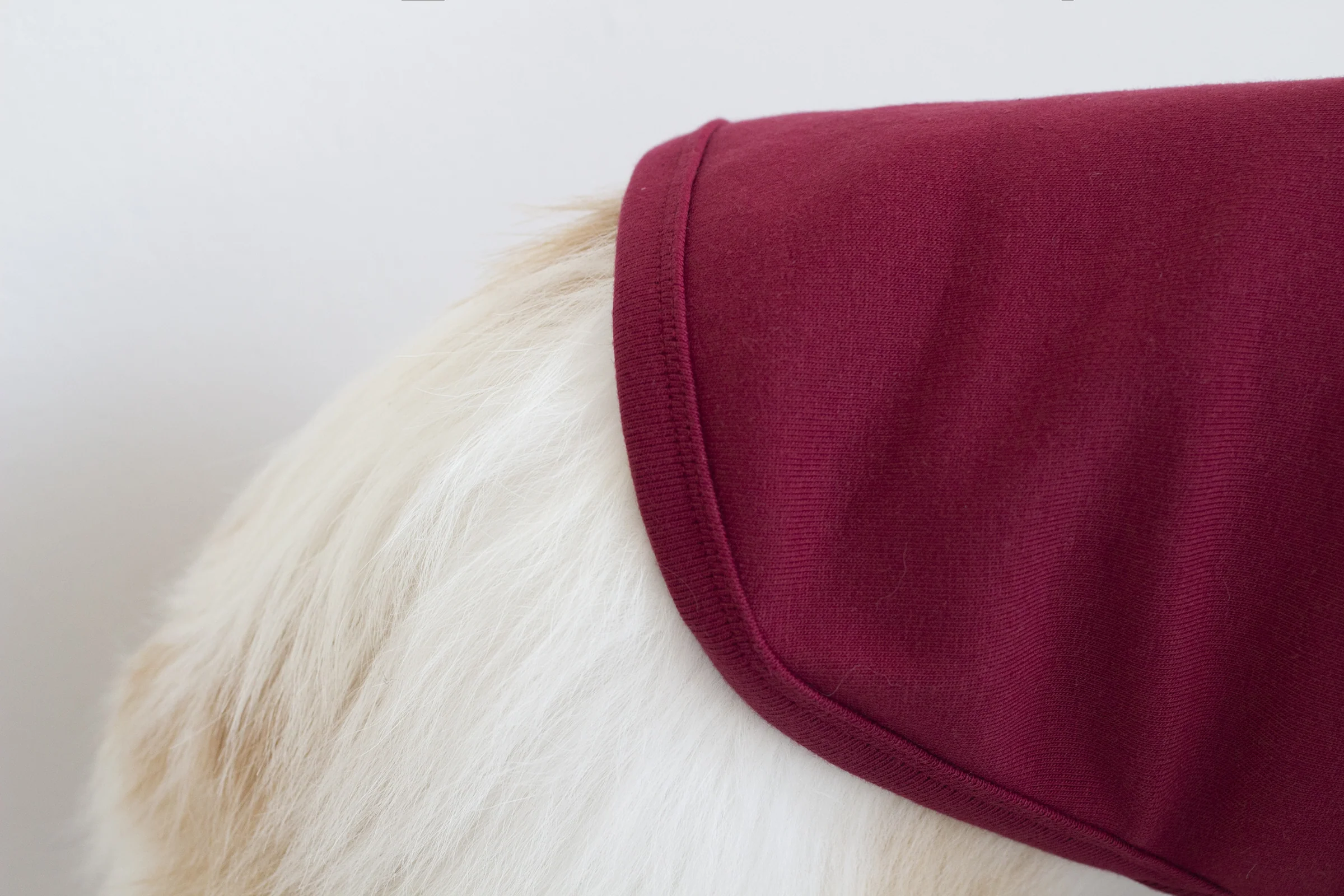 DENTISTS APPOINTMENT | Striped Point Turtleneck in Burgundy - Image 4