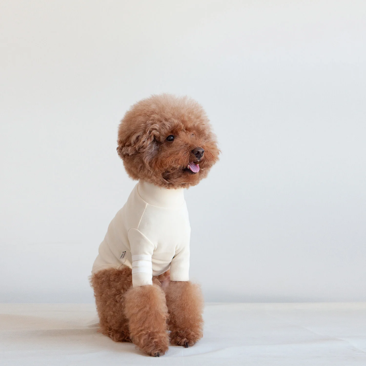 DENTISTS APPOINTMENT | Striped Point Turtleneck in Cream - Image 2