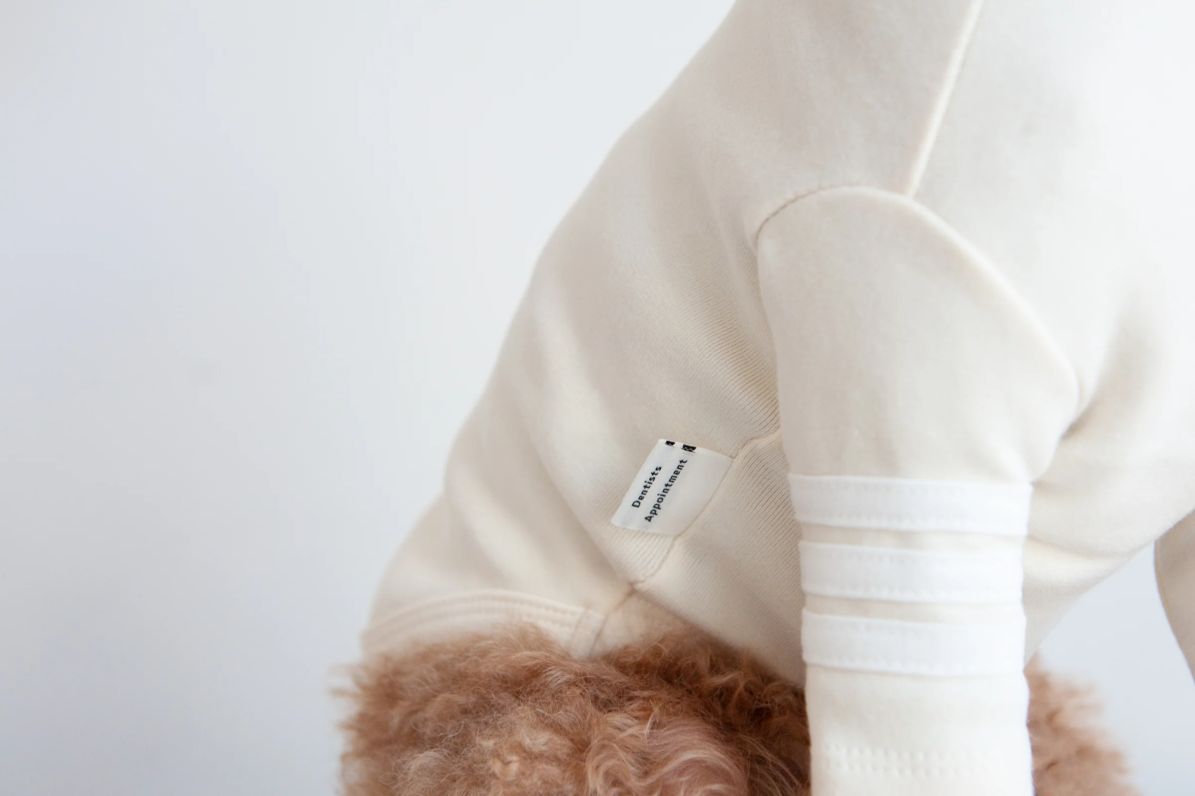 DENTISTS APPOINTMENT | Striped Point Turtleneck in Cream - Image 3