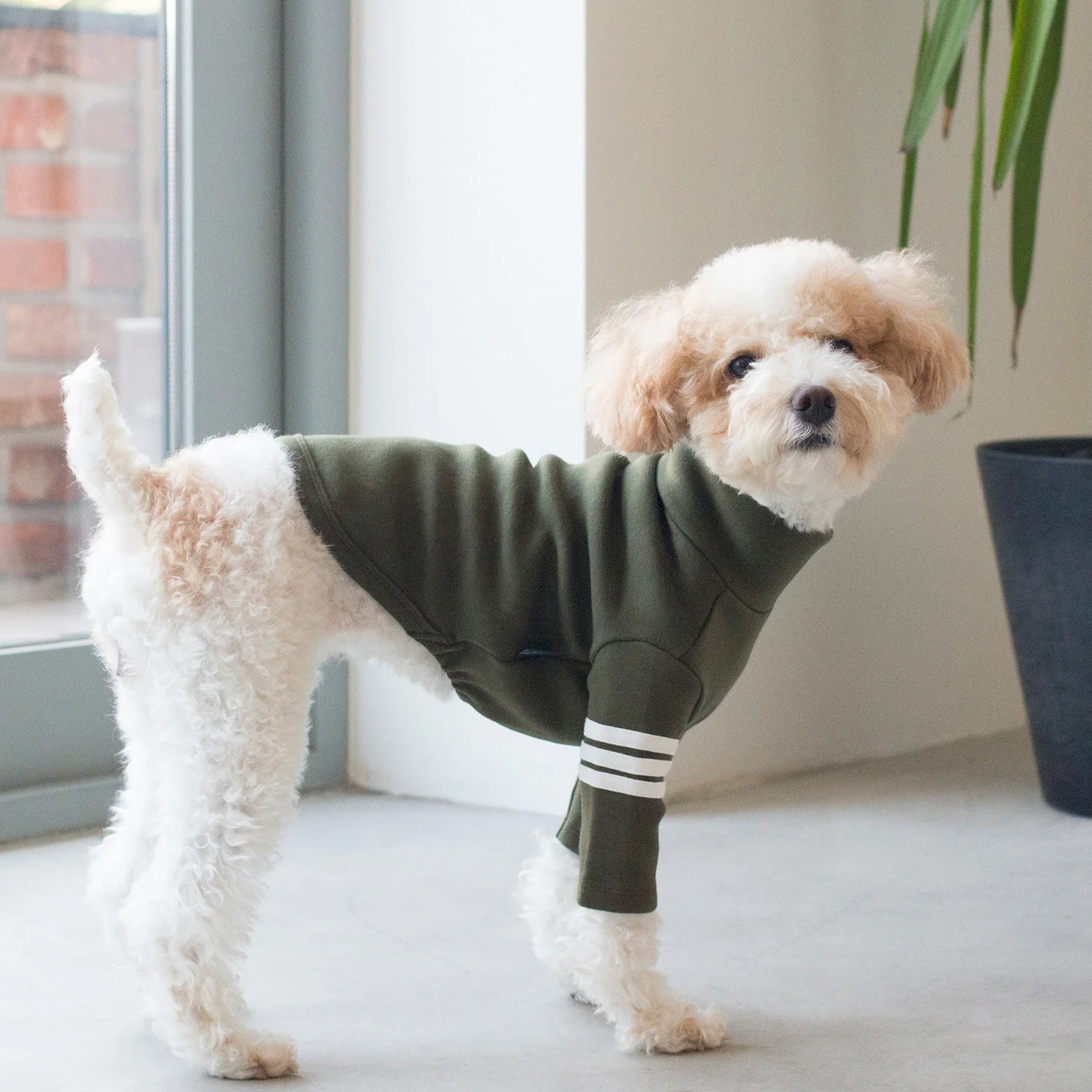 DENTISTS APPOINTMENT | Striped Point Turtleneck in Khaki - Image 2
