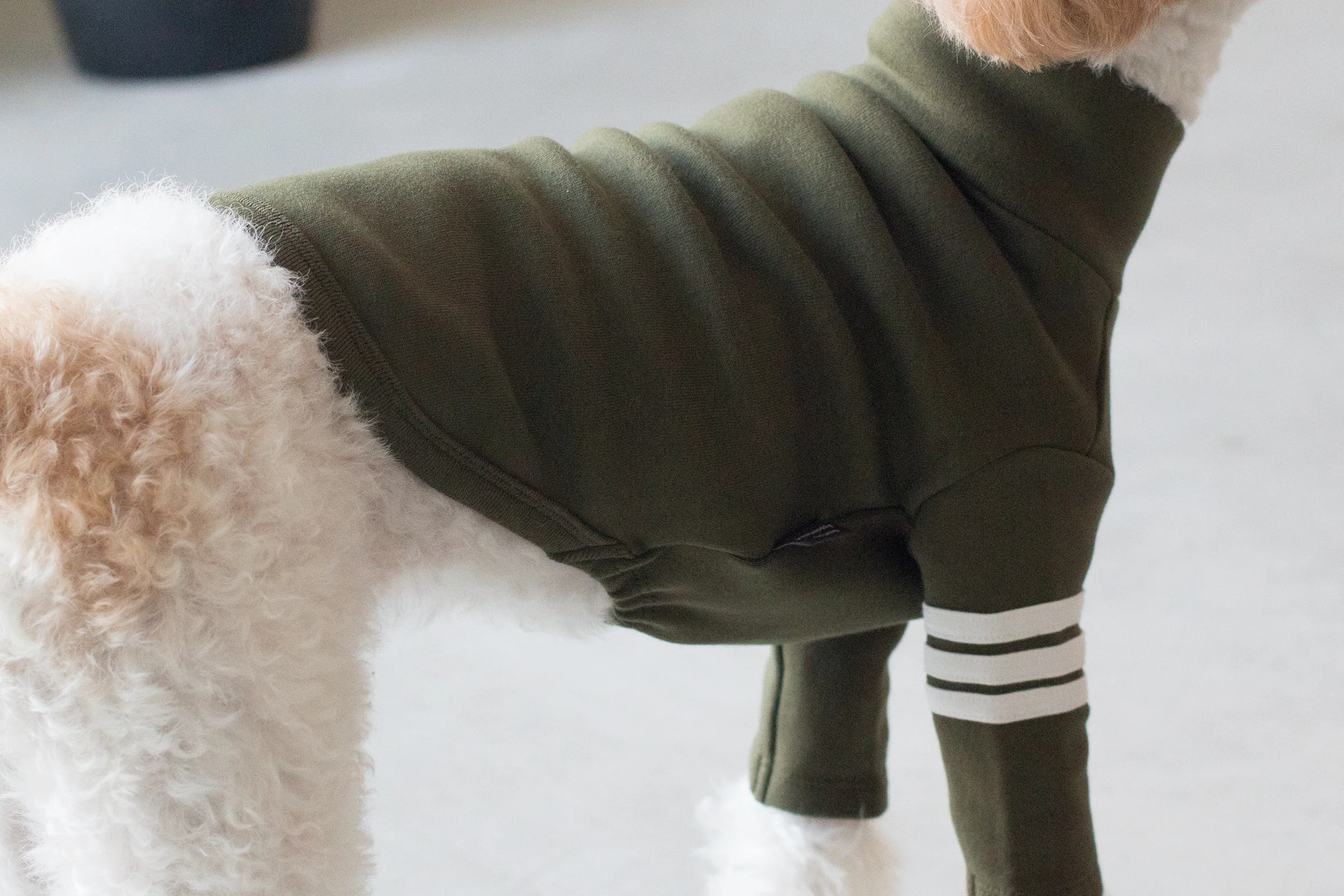 DENTISTS APPOINTMENT | Striped Point Turtleneck in Khaki - Image 3