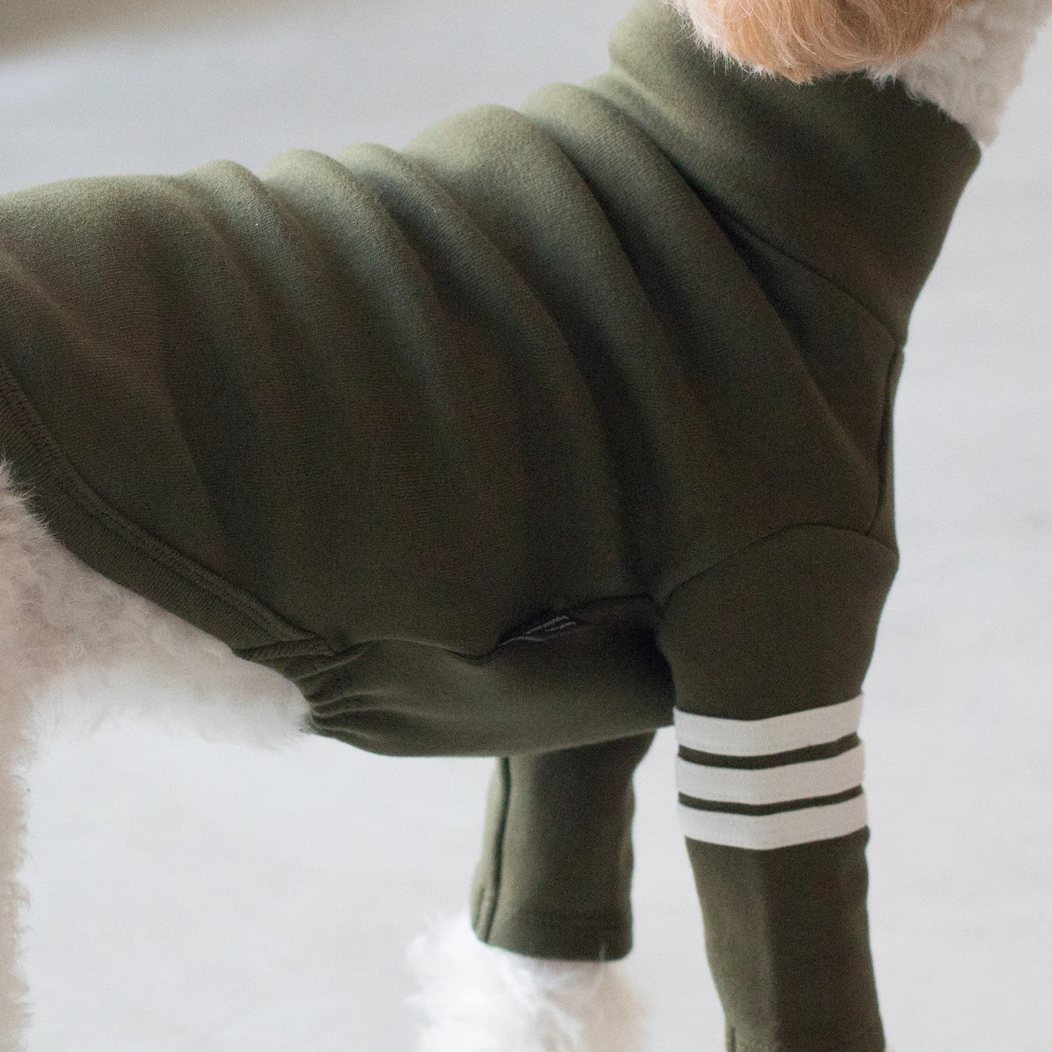 DENTISTS APPOINTMENT | Striped Point Turtleneck in Khaki - Image 4