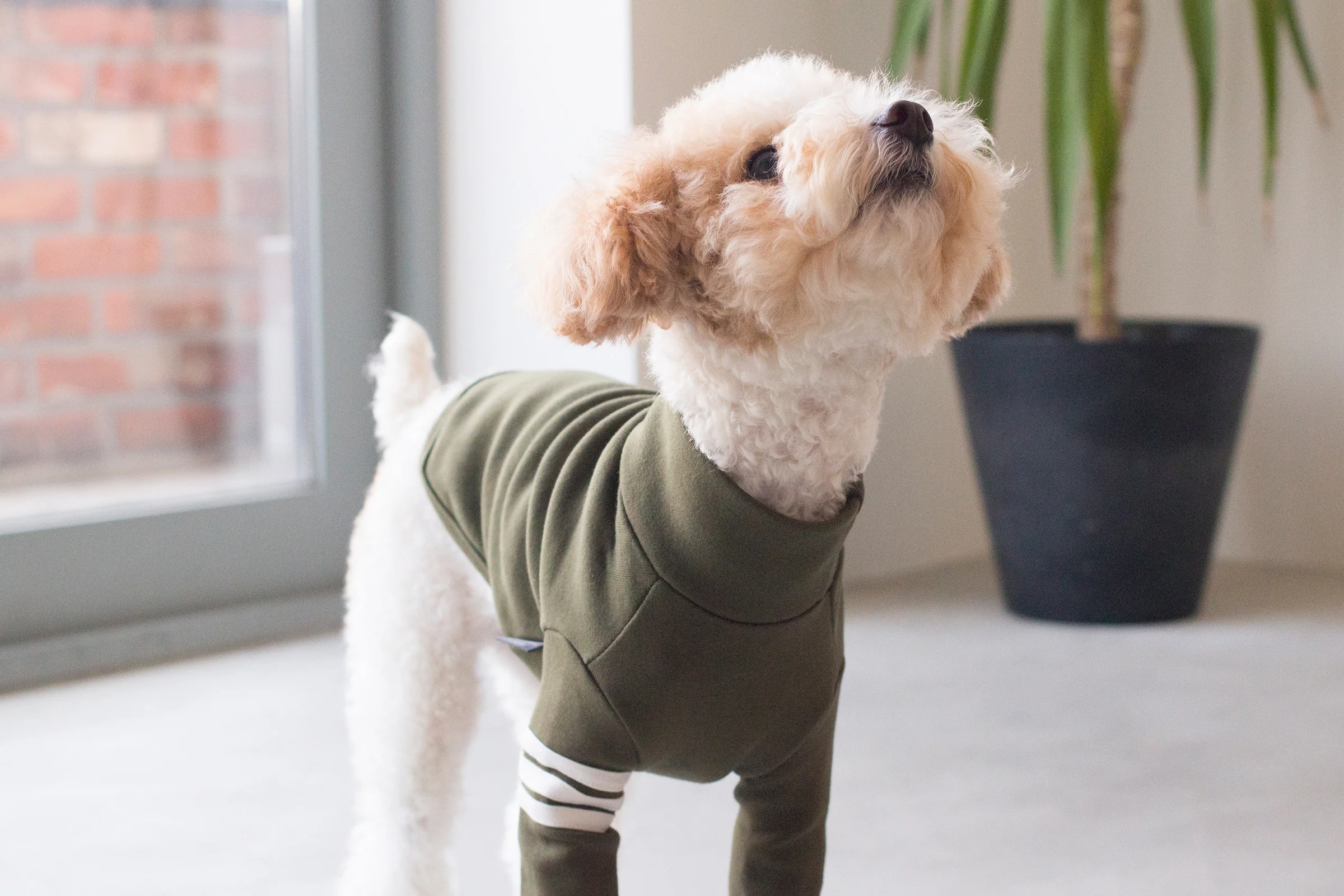 DENTISTS APPOINTMENT | Striped Point Turtleneck in Khaki - Image 5