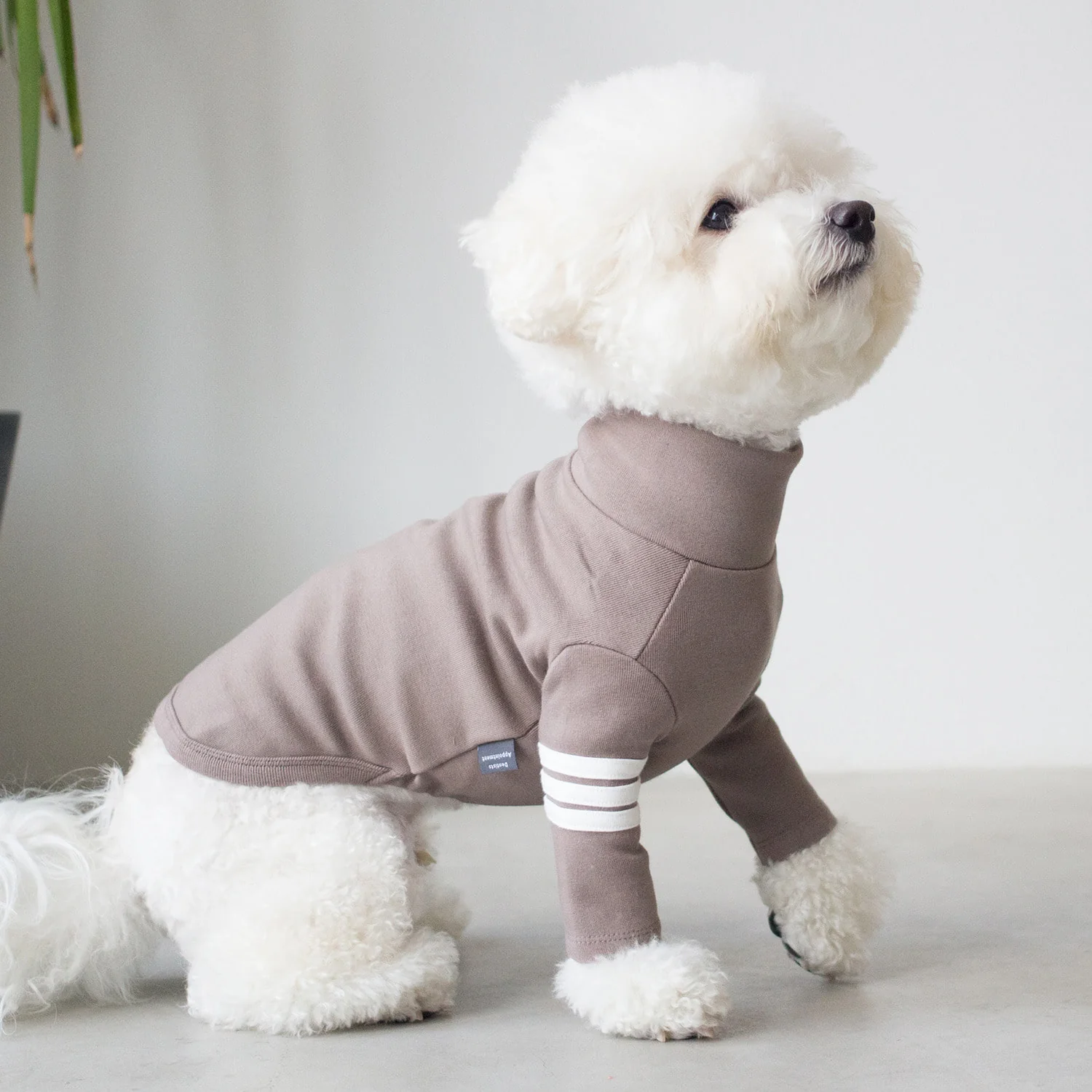 DENTISTS APPOINTMENT | Striped Point Turtleneck in Mocha