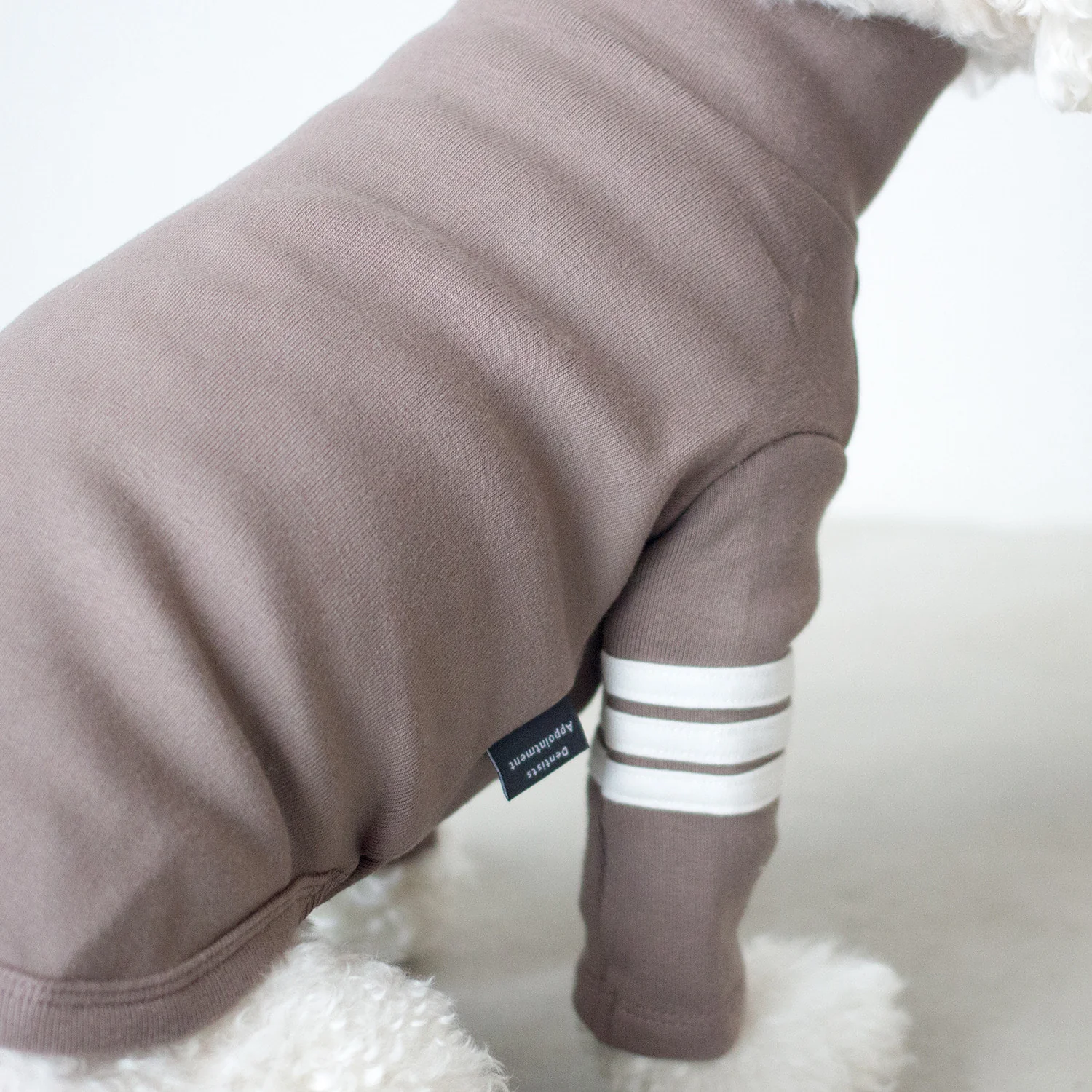 DENTISTS APPOINTMENT | Striped Point Turtleneck in Mocha - Image 3