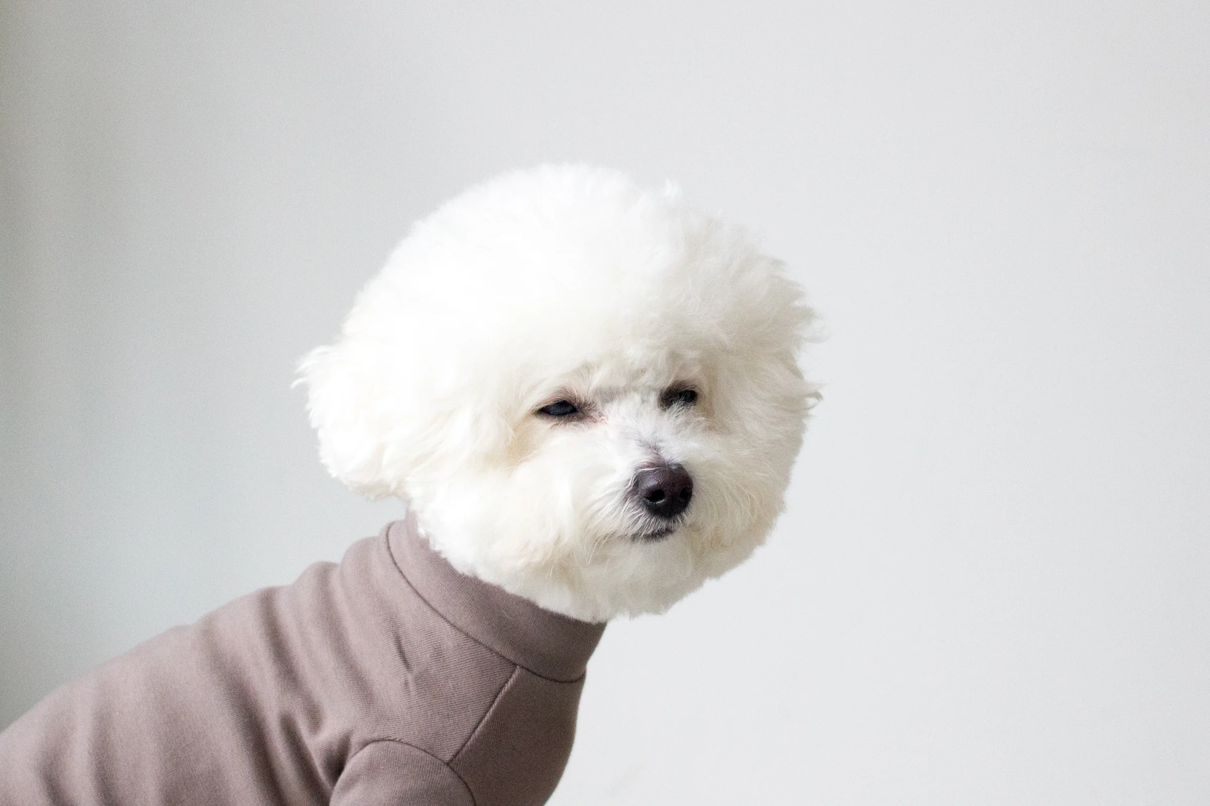 DENTISTS APPOINTMENT | Striped Point Turtleneck in Mocha - Image 4