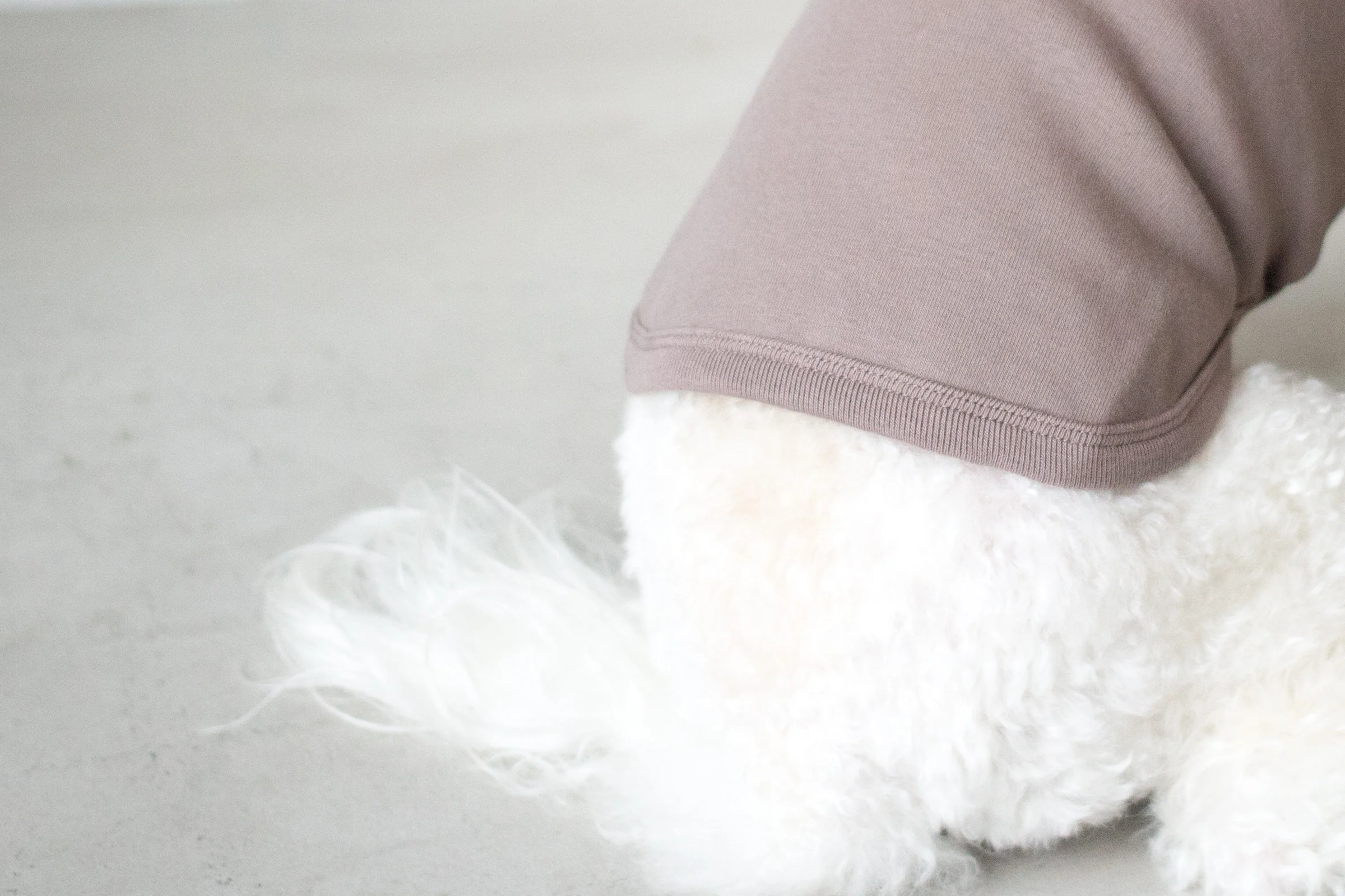 DENTISTS APPOINTMENT | Striped Point Turtleneck in Mocha - Image 5