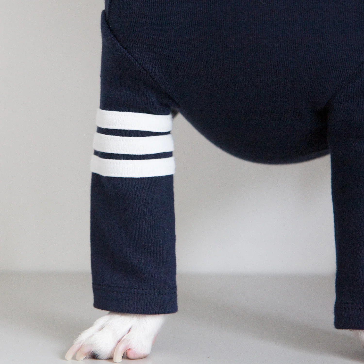 DENTISTS APPOINTMENT | Striped Point Turtleneck in Navy