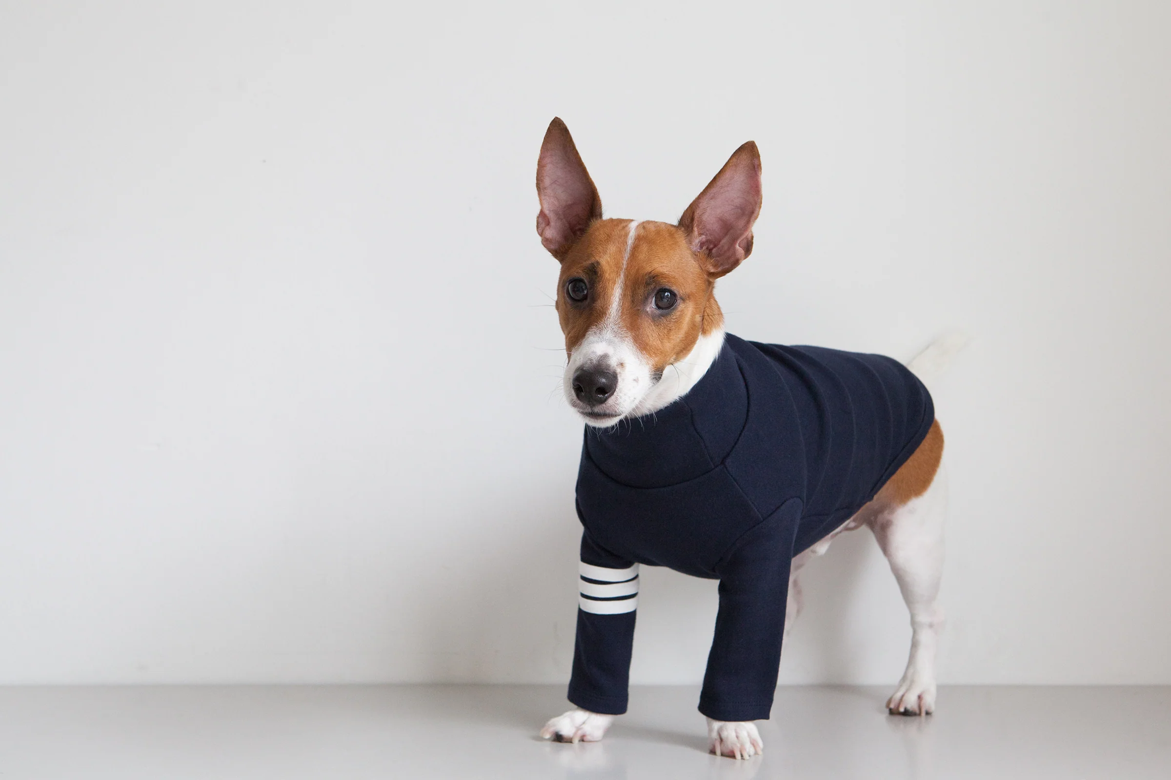 DENTISTS APPOINTMENT | Striped Point Turtleneck in Navy - Image 2