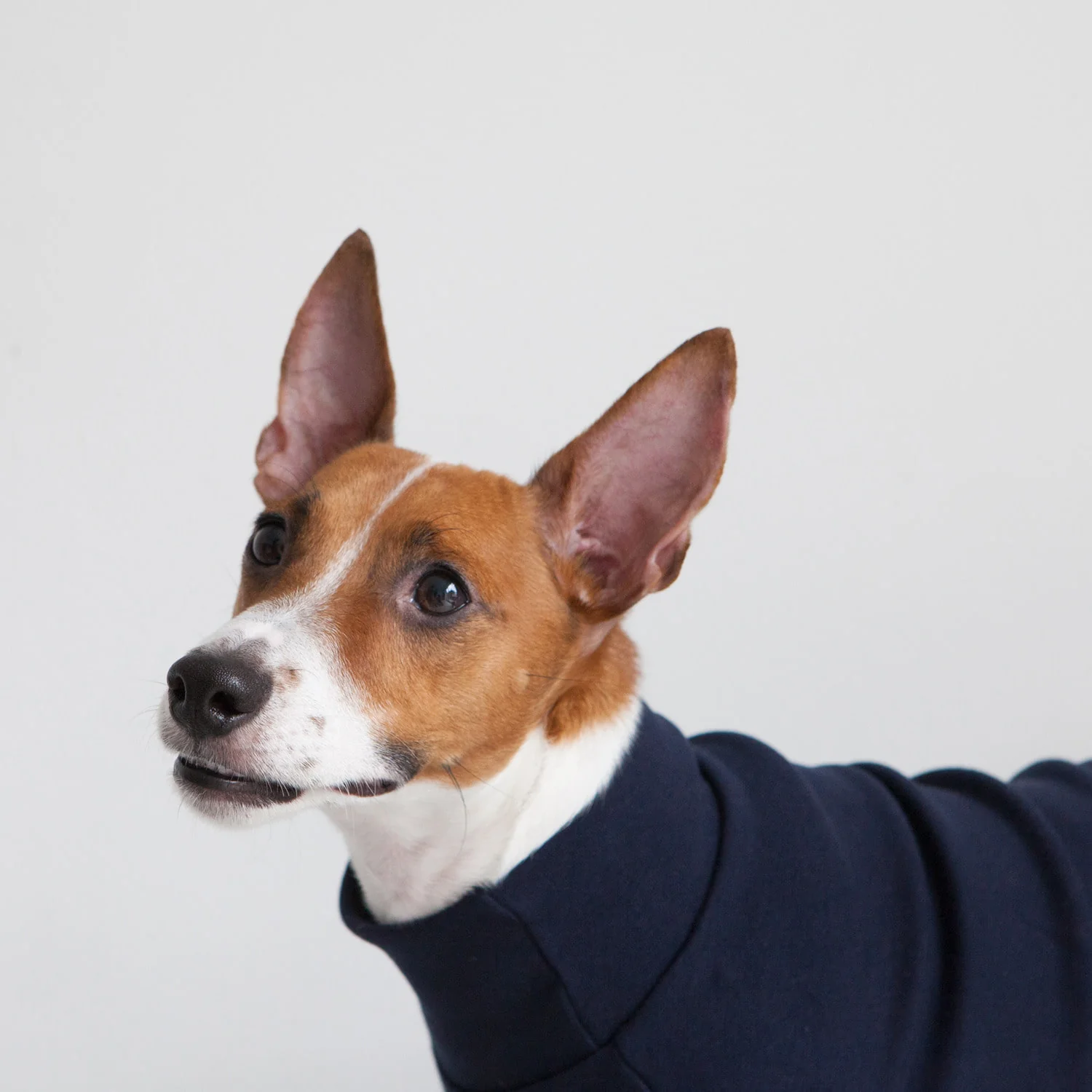 DENTISTS APPOINTMENT | Striped Point Turtleneck in Navy - Image 3