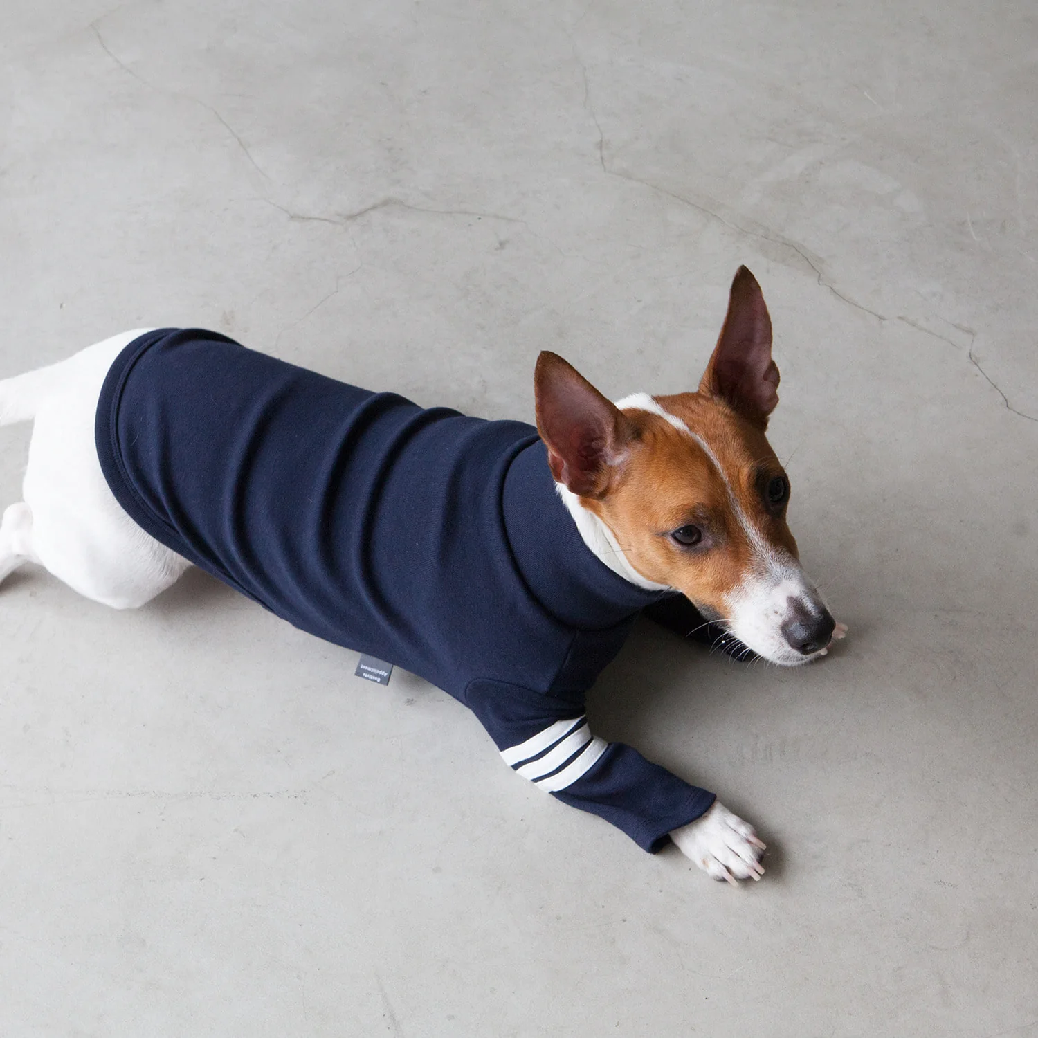 DENTISTS APPOINTMENT | Striped Point Turtleneck in Navy - Image 4