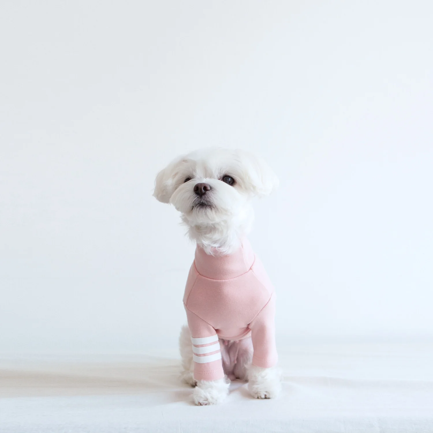 DENTISTS APPOINTMENT | Striped Point Turtleneck in Soft Pink - Image 3