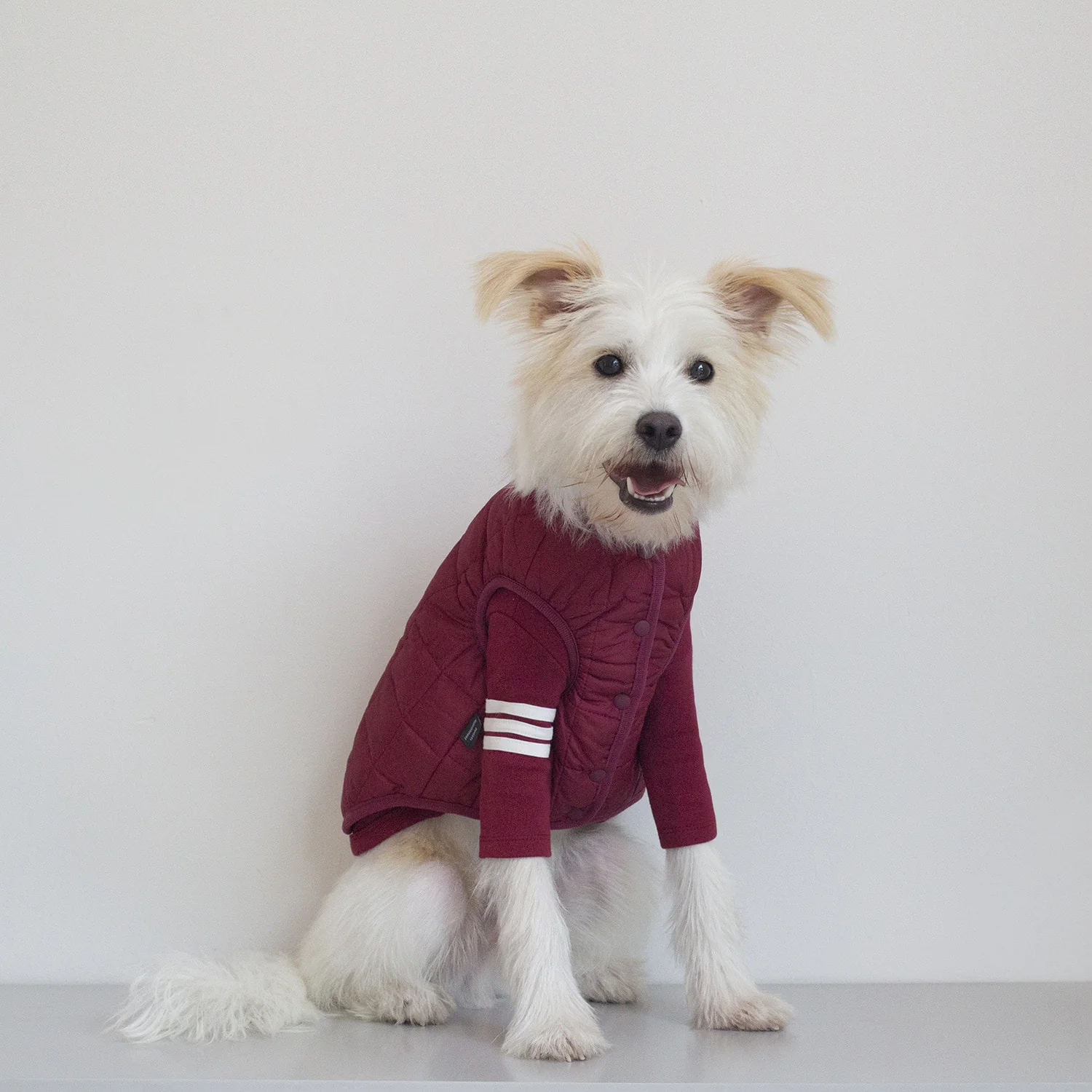 DENTISTS APPOINTMENT | Warm Quilted Vest in Burgundy (w/ Harness Hole) - Image 3