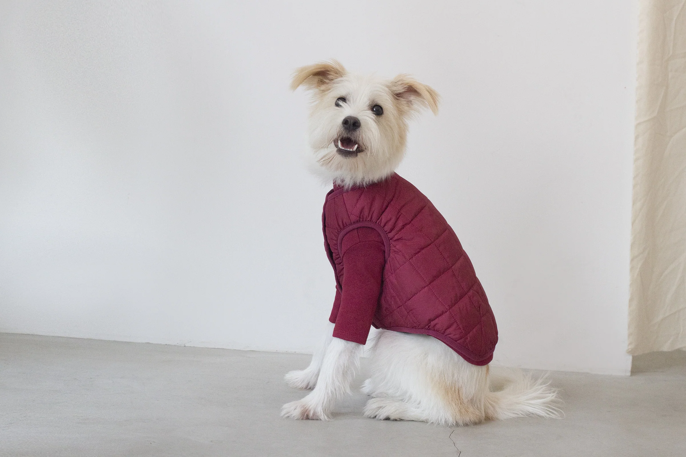DENTISTS APPOINTMENT | Warm Quilted Vest in Burgundy (w/ Harness Hole) - Image 5