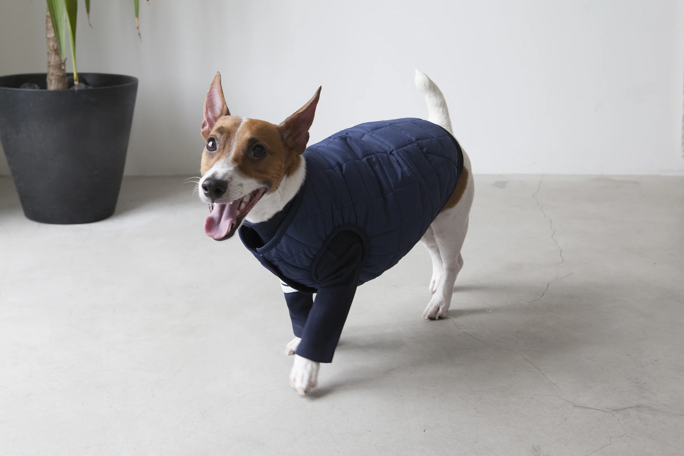DENTISTS APPOINTMENT | Warm Quilted Vest in Navy (w/ Harness Hole) - Image 2