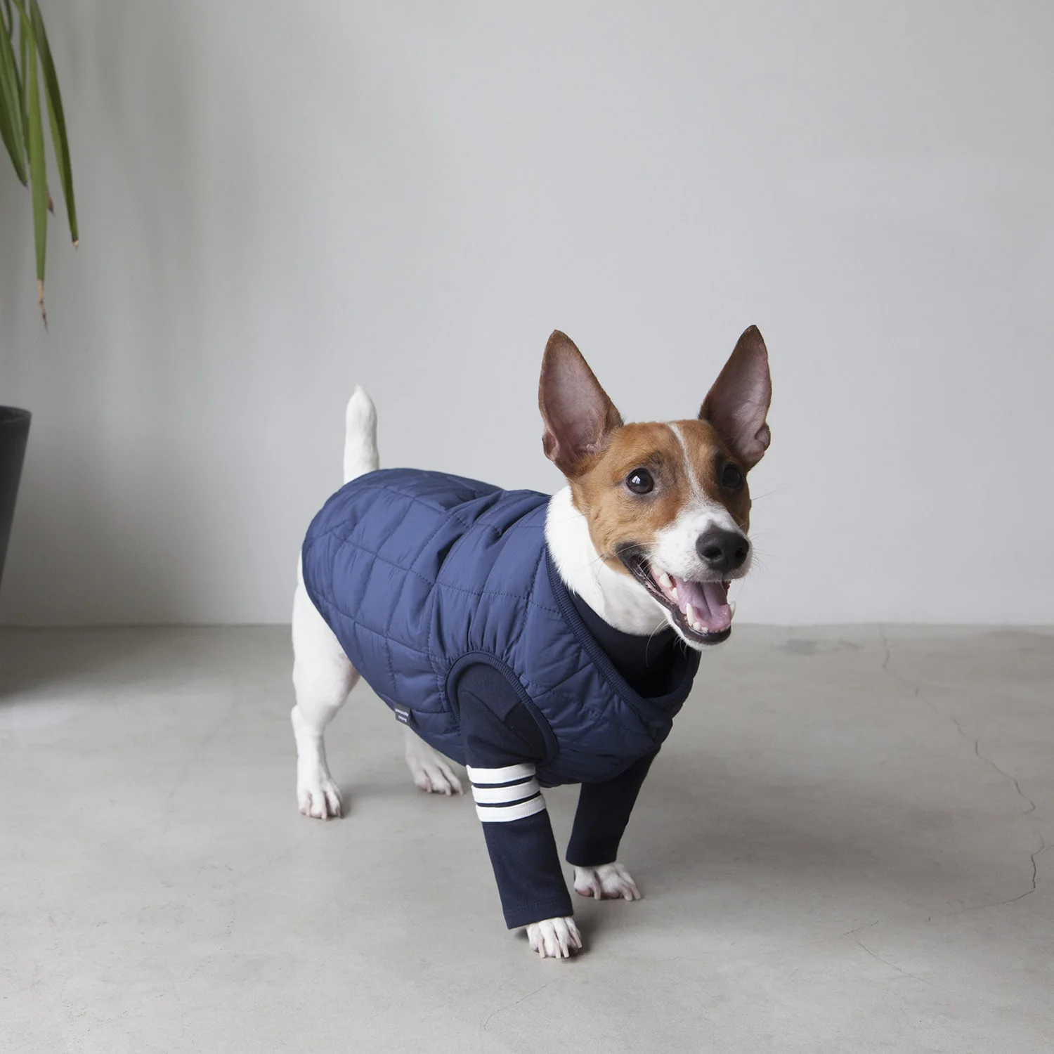 DENTISTS APPOINTMENT | Warm Quilted Vest in Navy (w/ Harness Hole) - Image 3