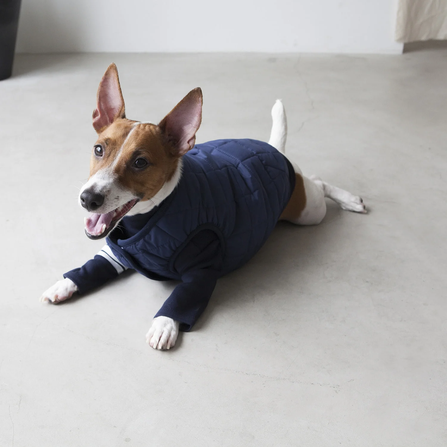 DENTISTS APPOINTMENT | Warm Quilted Vest in Navy (w/ Harness Hole) - Image 4