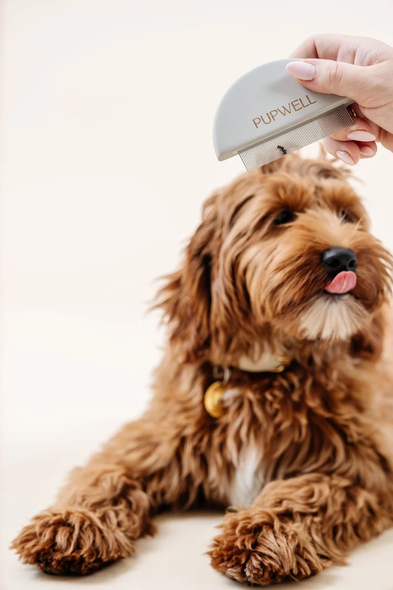 Detailer Comb for Dogs - Image 6