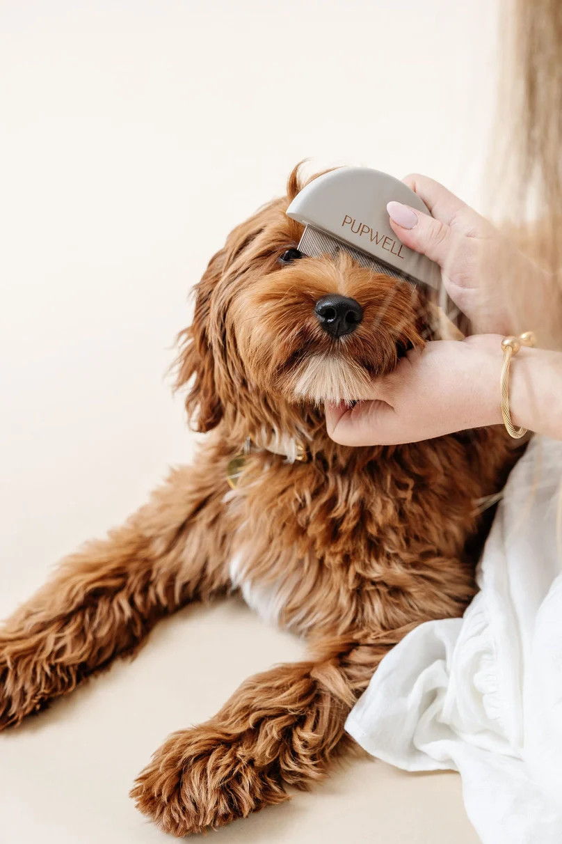 Detailer Comb for Dogs - Image 9