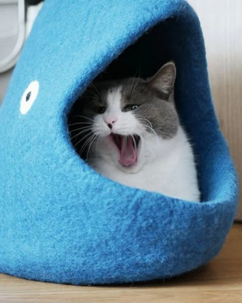 Blue Whale Wool Pet Cave - Image 5