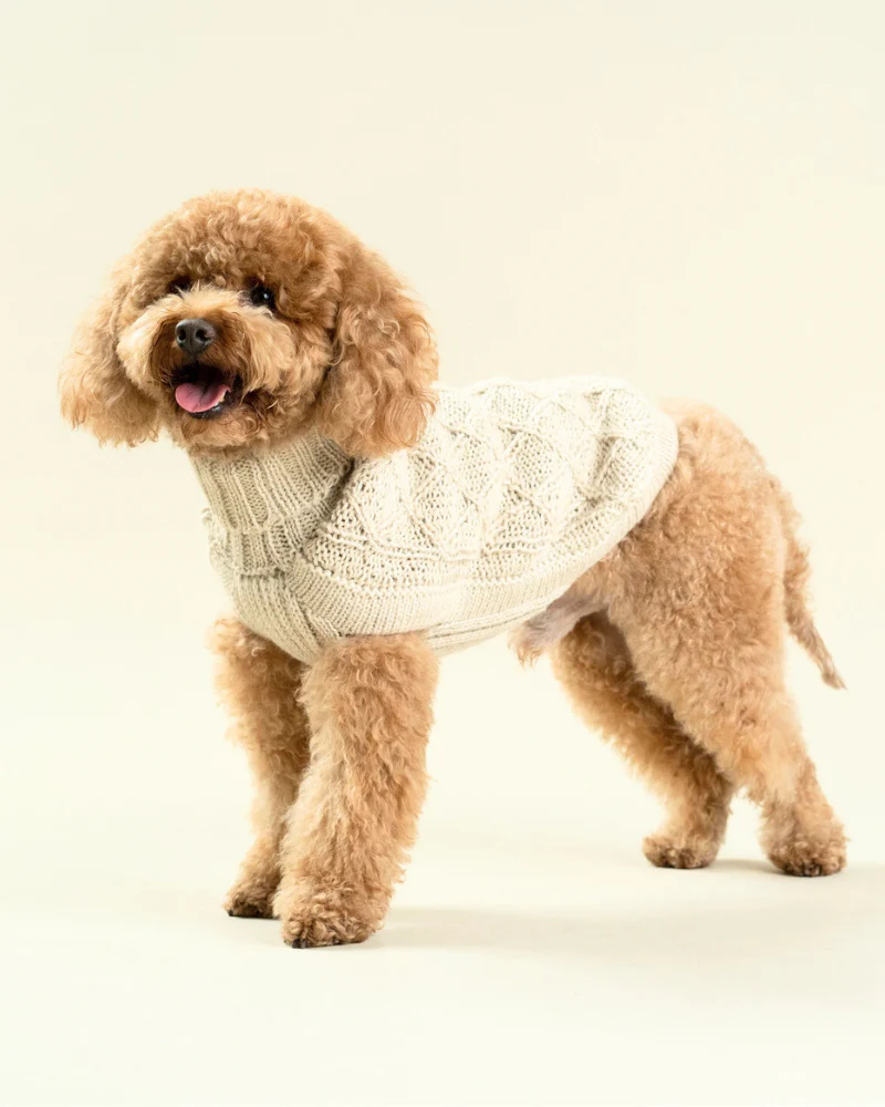 Diamond Knit Alpaca Dog Sweater (FINAL SALE) - Image 2